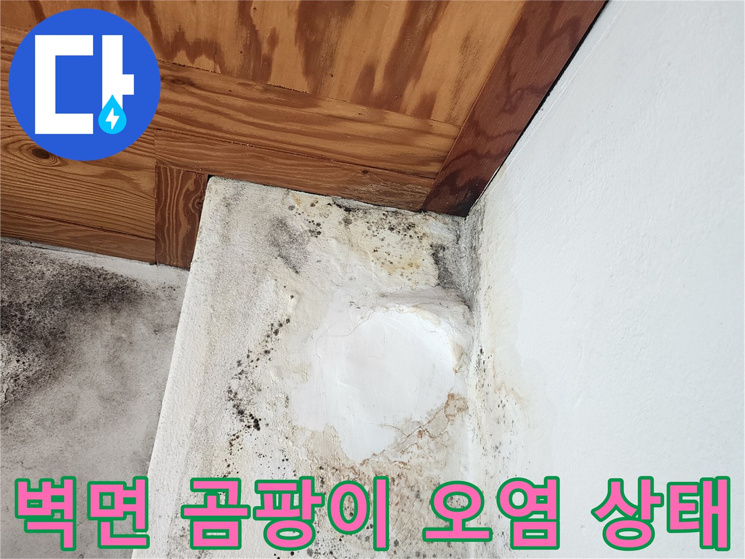 양주 현장-곰팡이가 번진 보일러실 벽면과 천장 접합부