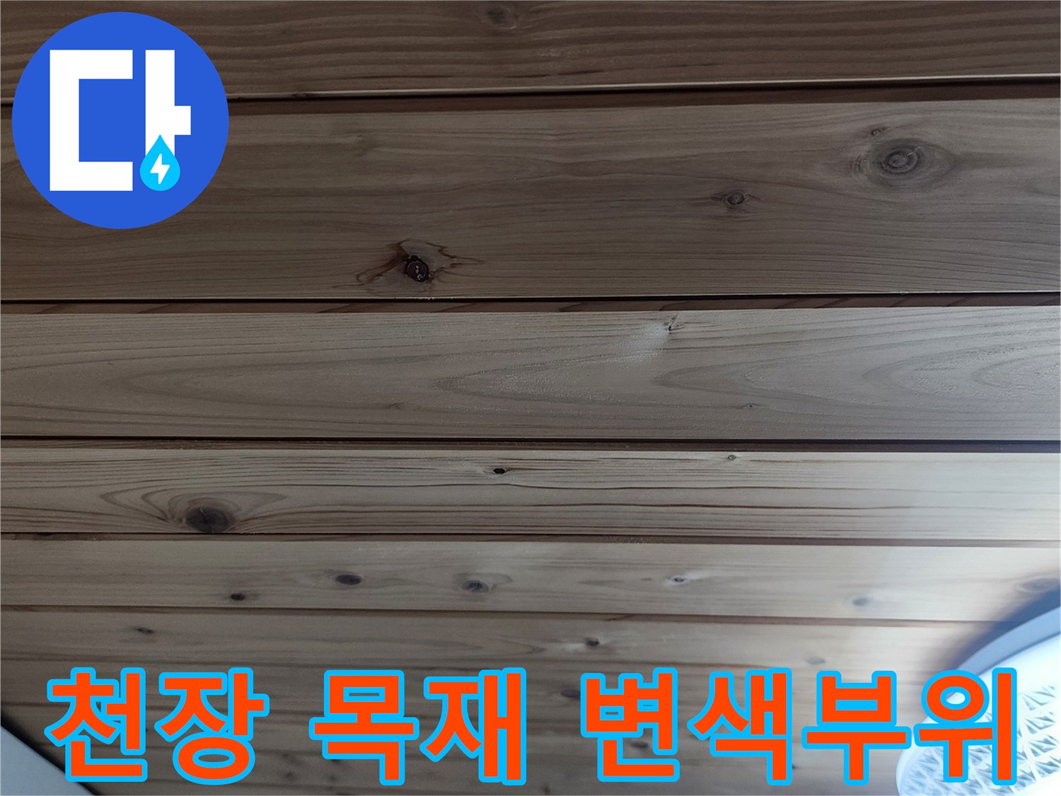 양주 현장-수분으로 인해 색이 진해진 천장 목재