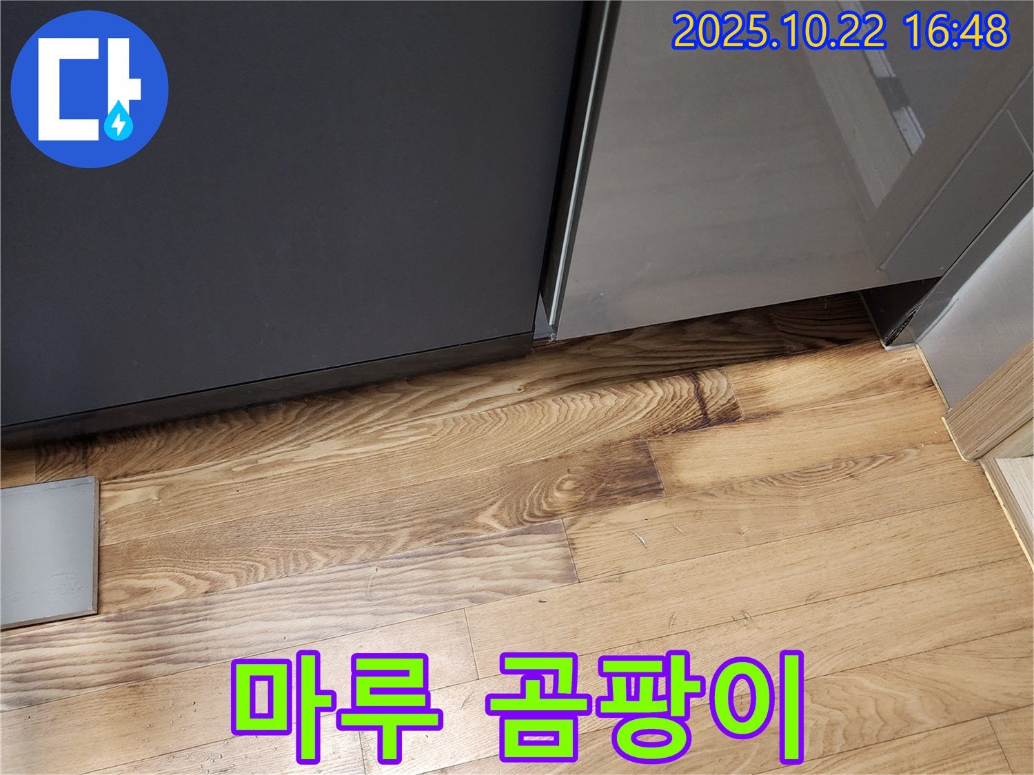 싱크대 밑 마루 곰팡이 - 습기 - 곰팡이 번식