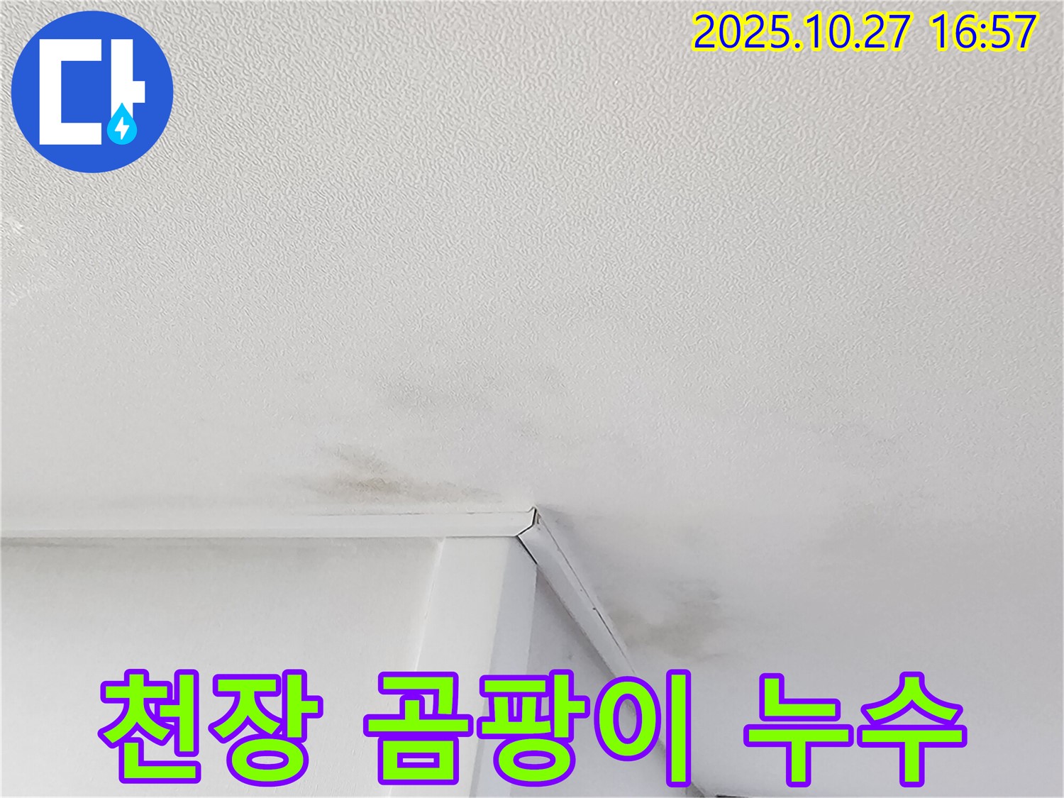 동작구 만양로 천장 누수로 인한 곰팡이 발생 - 누수탐지 및 곰팡이 제거 긴급 필요