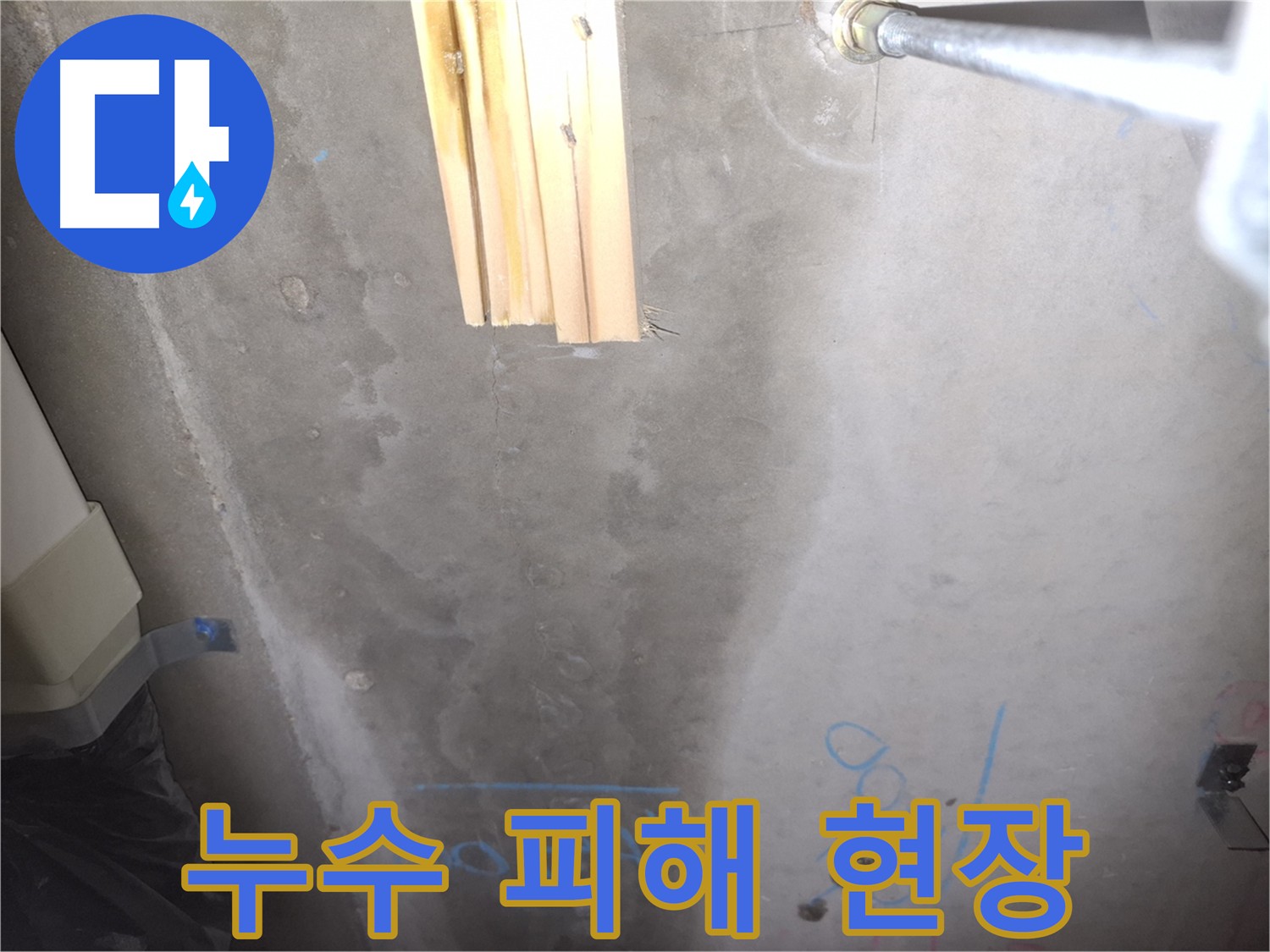 화장실 천장 누수 해결 - 첨단 장비 사용으로 누수 지점 정확히 탐지