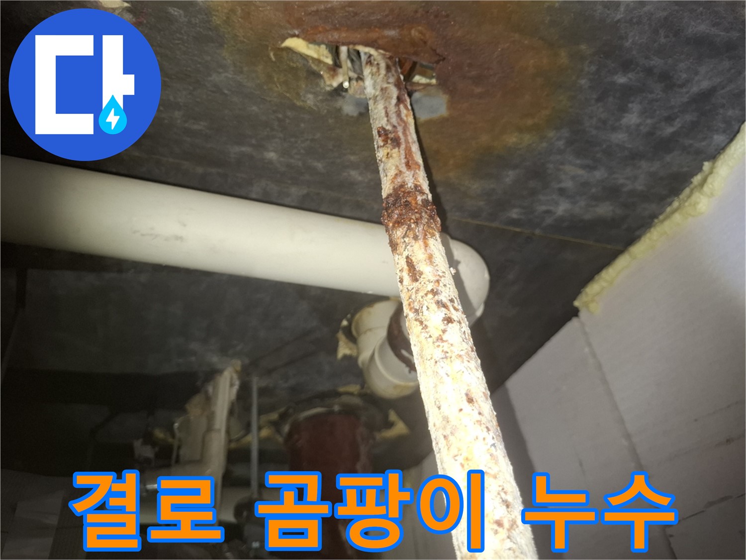 수원 신풍동에서 결로와 곰팡이 문제 해결을 위해 누수부터 점검합니다 - 누수는 결로와 곰팡이의 주요 원인 중 하나입니다.