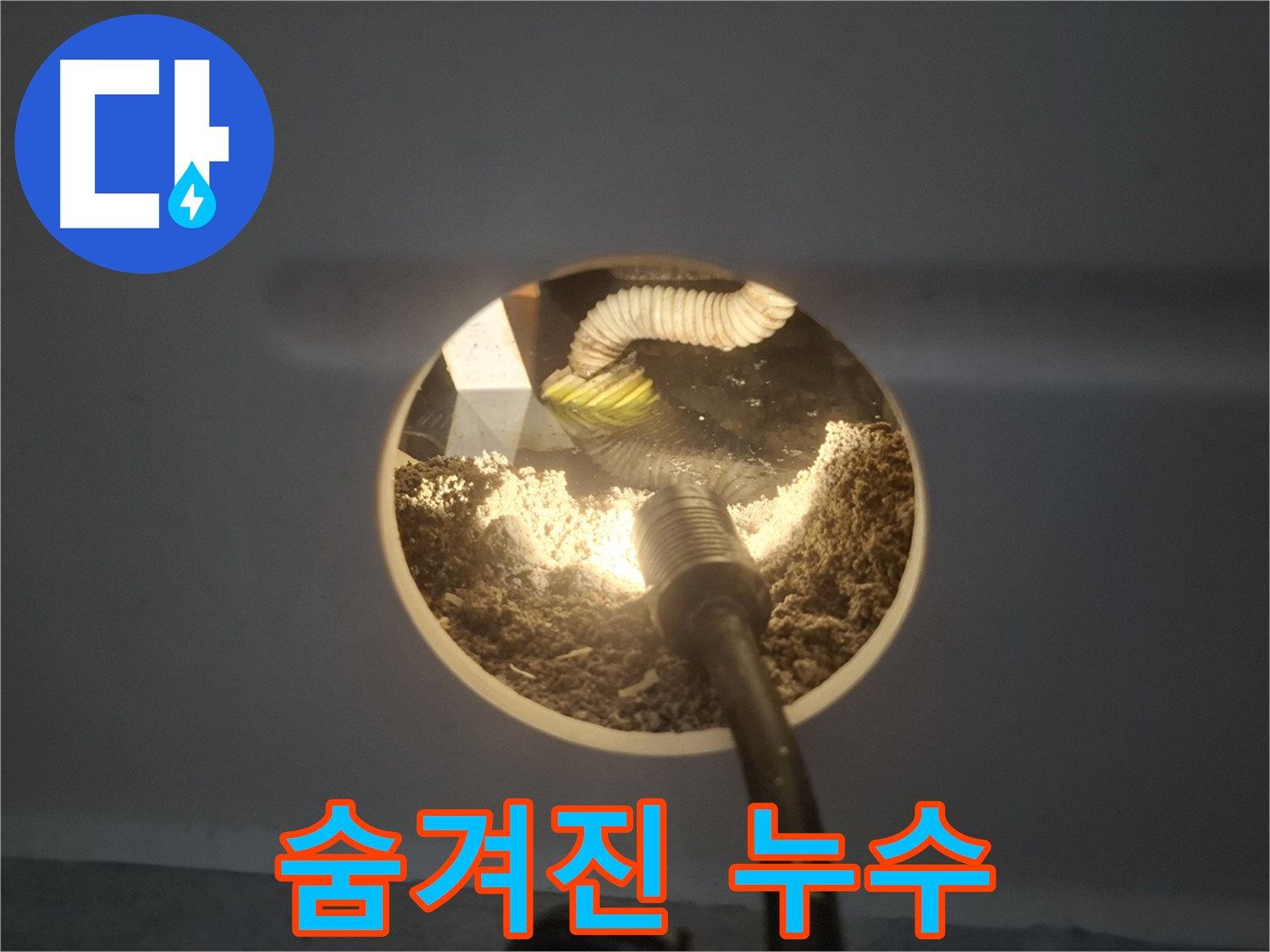 수원 팔달구 신풍동 누수 - 석고 먼지 속 숨겨진 누수