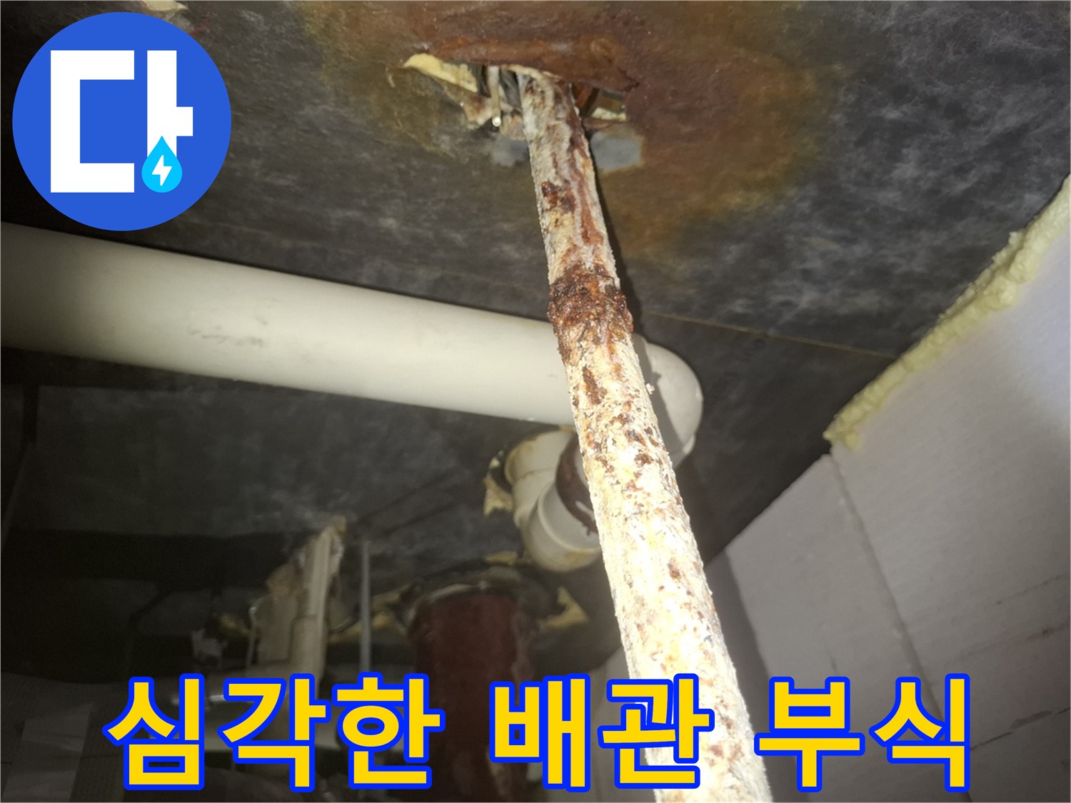 수원 팔달구 신풍동 누수 현장에서 심각하게 부식된 배관을 긴급 점검하고 있습니다 - 부식은 누수의 가장 큰 적입니다.