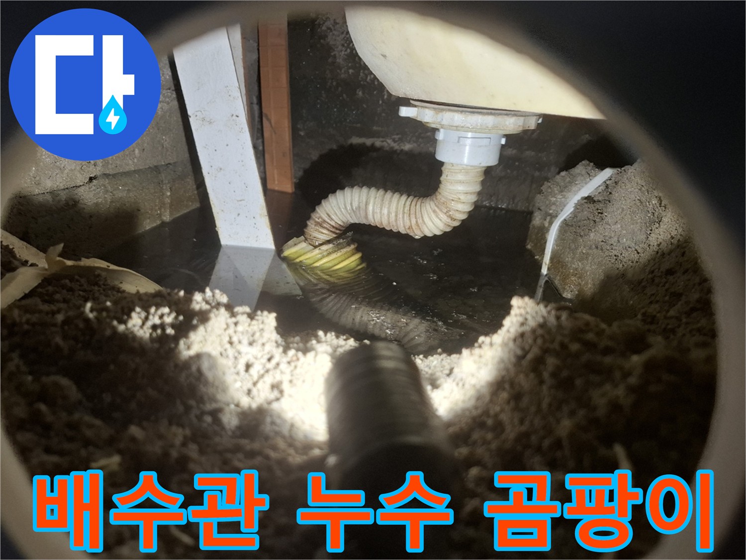 수원 팔달구 누수 - 낡은 배수관 누수로 인한 곰팡이