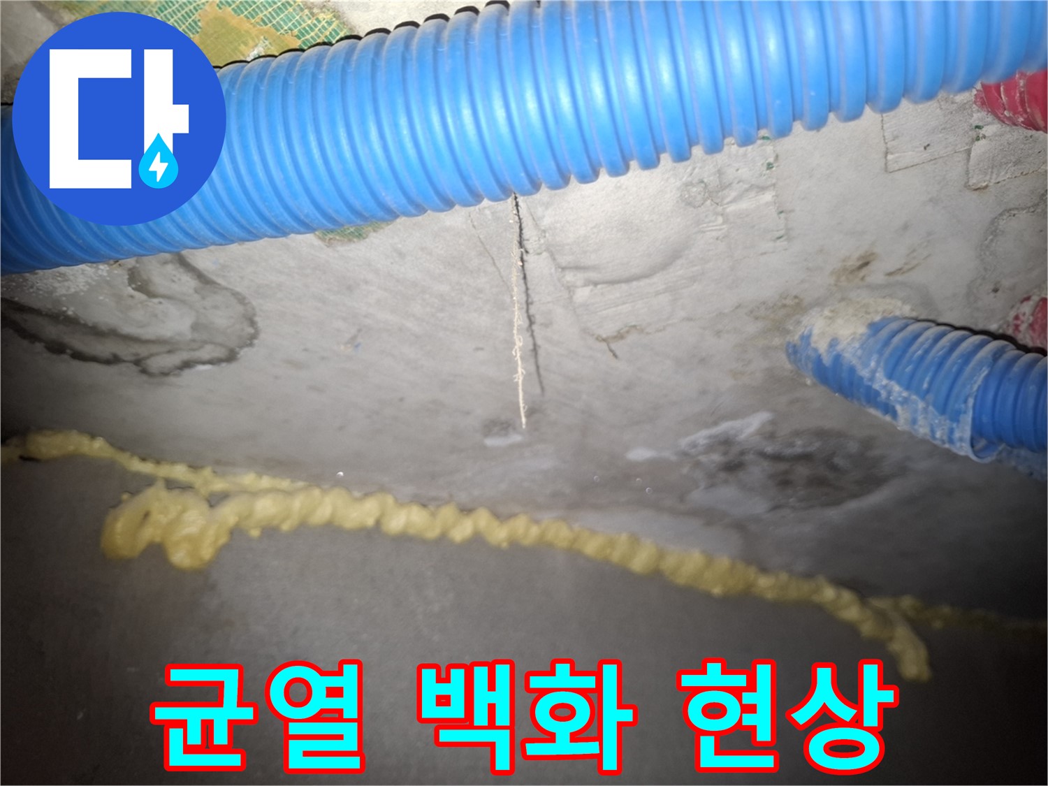 콘크리트 천장 균열 - 백화 현상 발생 - 신풍동 누수