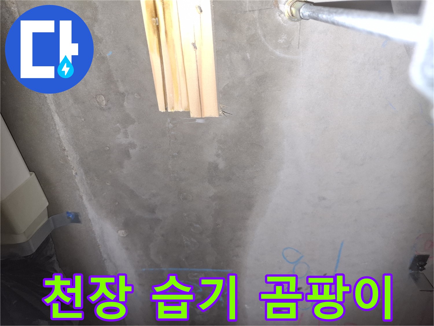 콘크리트 천장 누수 - 습기와 곰팡이, 건강 위협