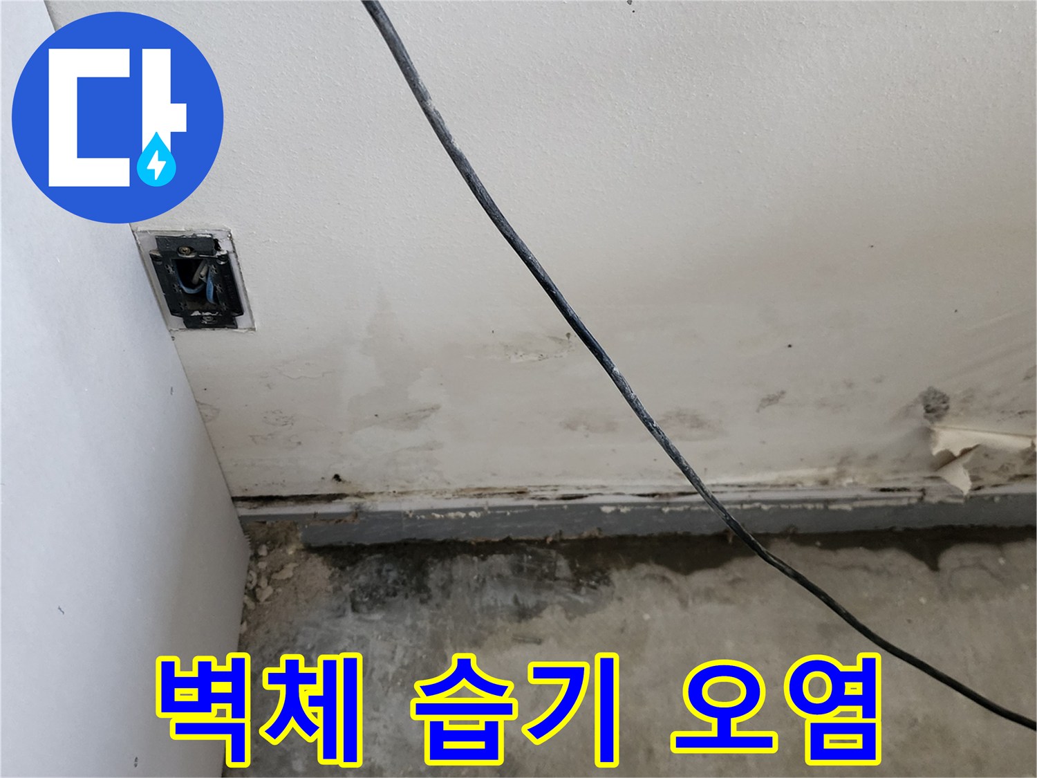 습기가 침투하여 변색된 상가 내부의 벽면 사진