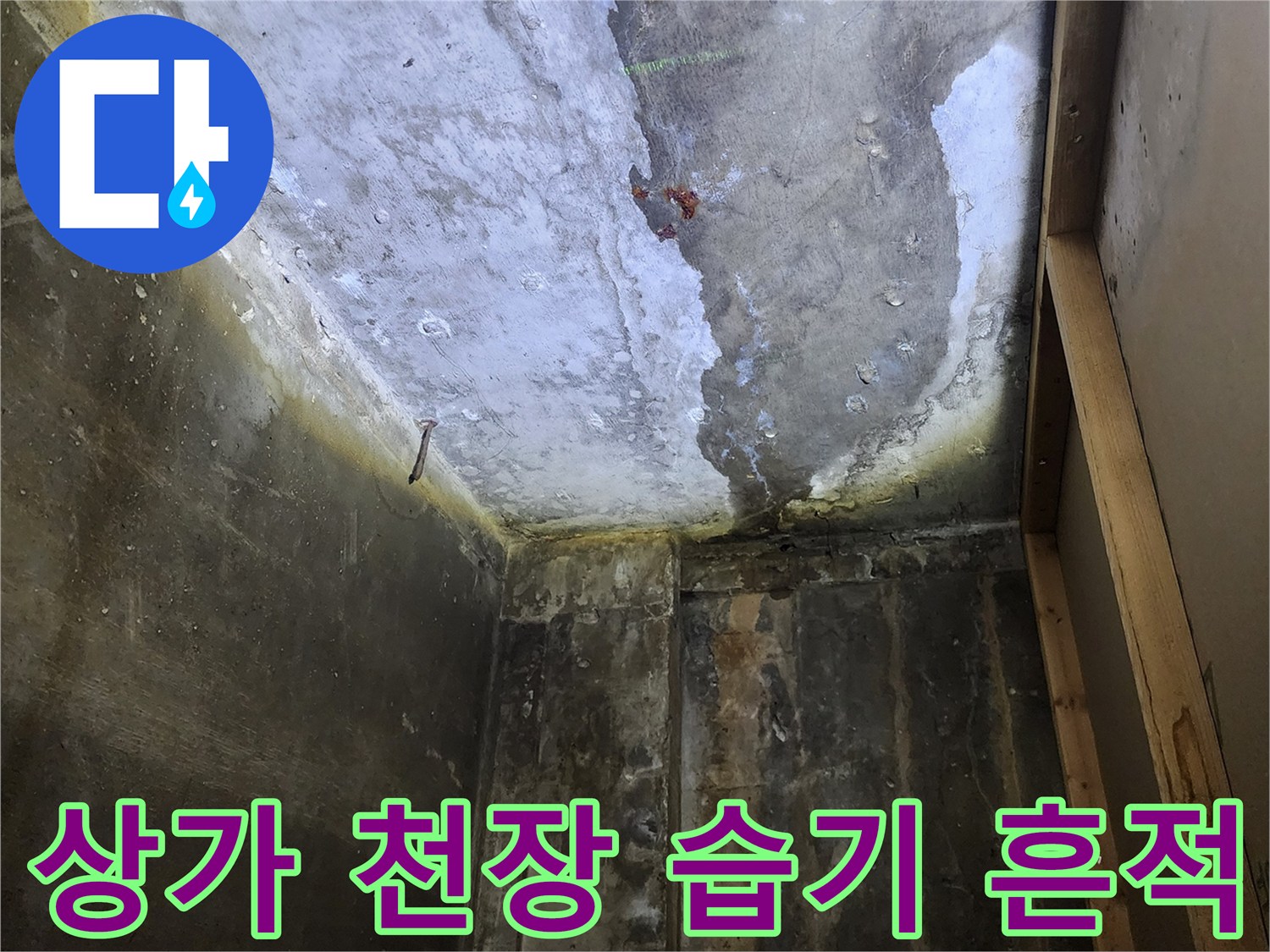 양주 하패리 상가-천장 콘크리트 슬래브의 습기와 오염 상태