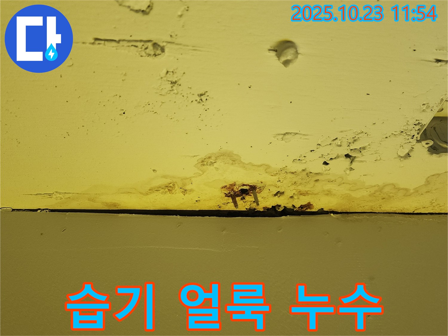 양주시 은현면 하패리 - 천장 습기 얼룩은 초기 누수 징후일 수 있습니다.