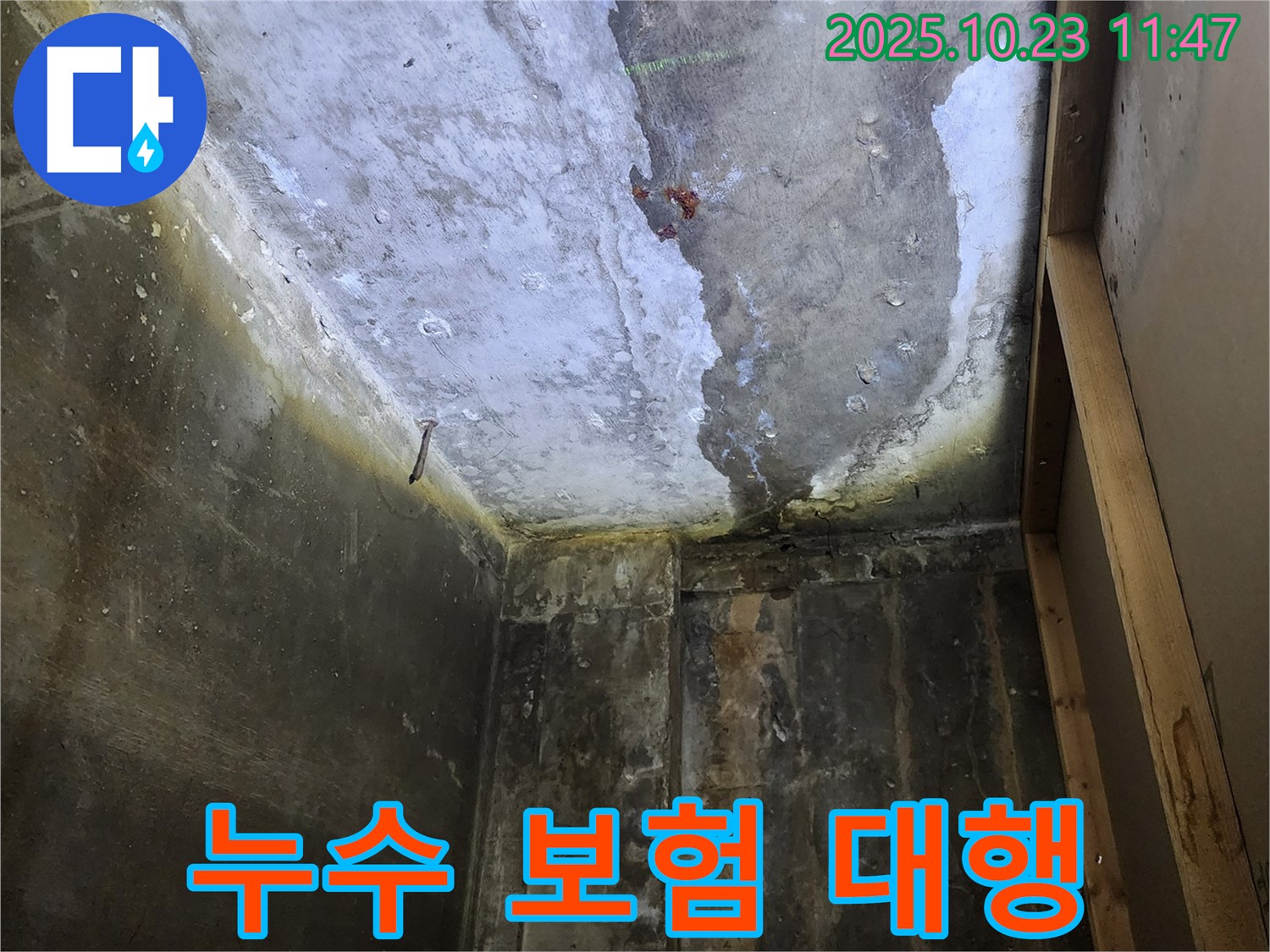 양주시 하패리 누수 - 복잡한 보험 처리 대행