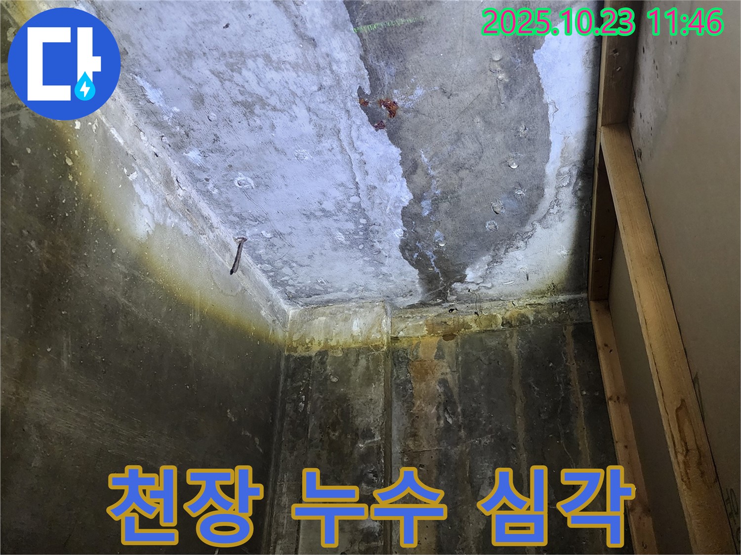 양주시 하패리 천장 누수 현장 - 심각한 누수 상황을 확인하고 확실한 해결을 약속
