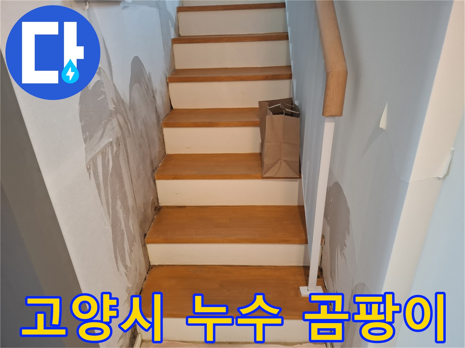 계단 벽 곰팡이 - 건강 위협, 곰팡이 퇴치!