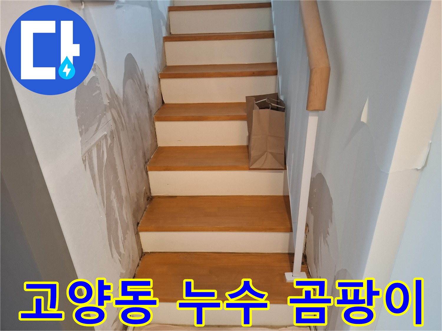 젖은 벽 - 곰팡이 생기기 전에 해결