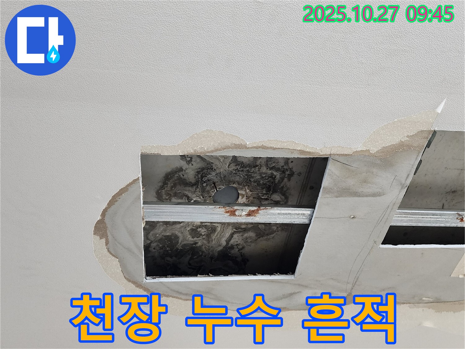 양주시 옥정2동 천장 누수 현장 - 누수 흔적과 곰팡이 발생
