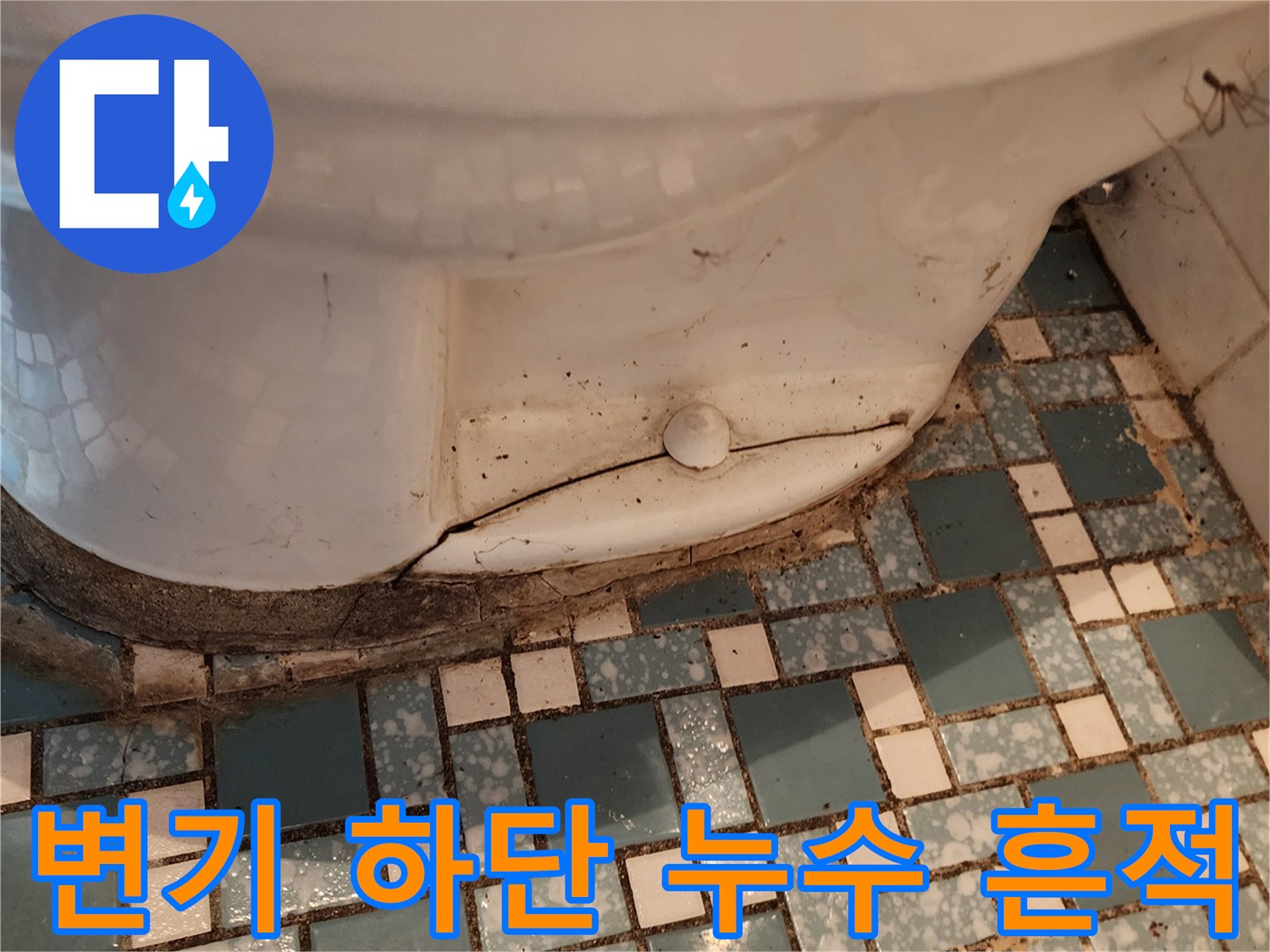 변기 아래쪽-타일 틈새에 스며든 물기와 오염된 상태