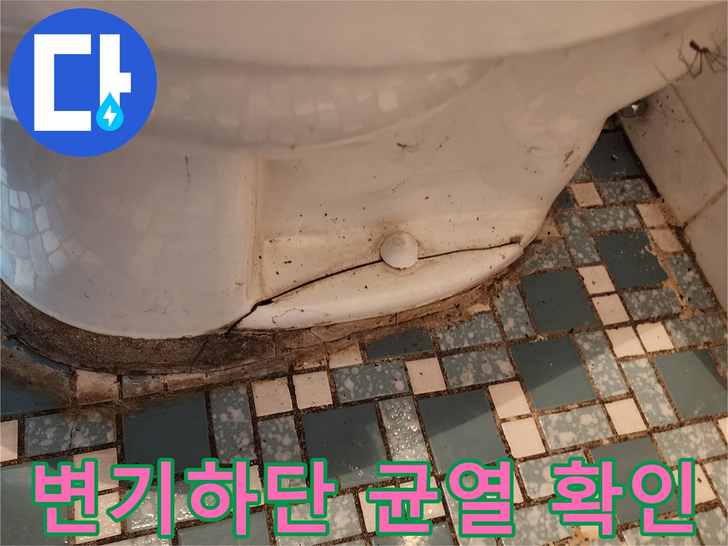 양주시 회천동-변기 하단 도기 부분의 실금과 주변 타일 오염 상태를 보여주는 사진입니다.