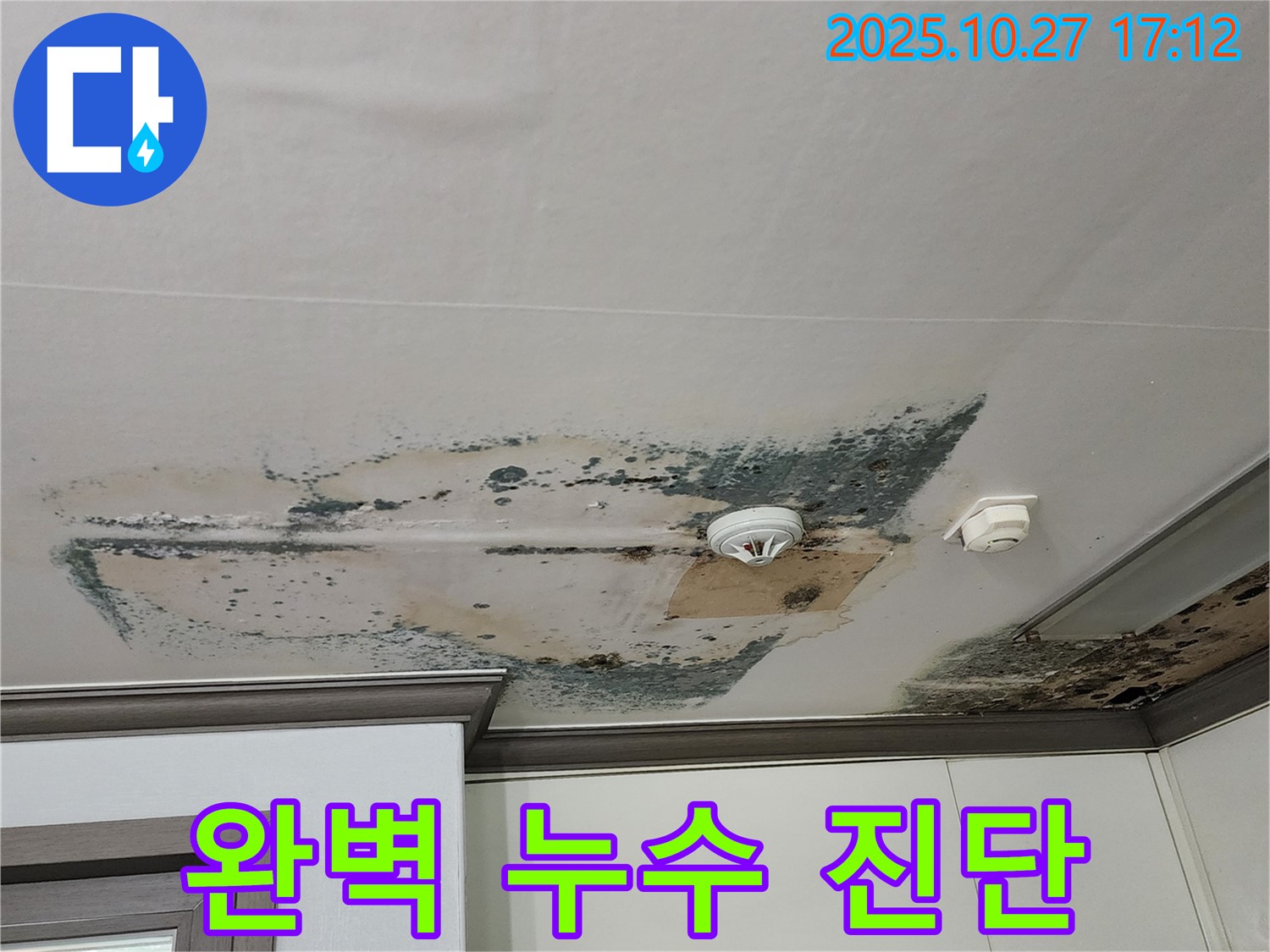 양주 회천2동 천장 누수 - 완벽 진단과 꼼꼼한 공사 약속