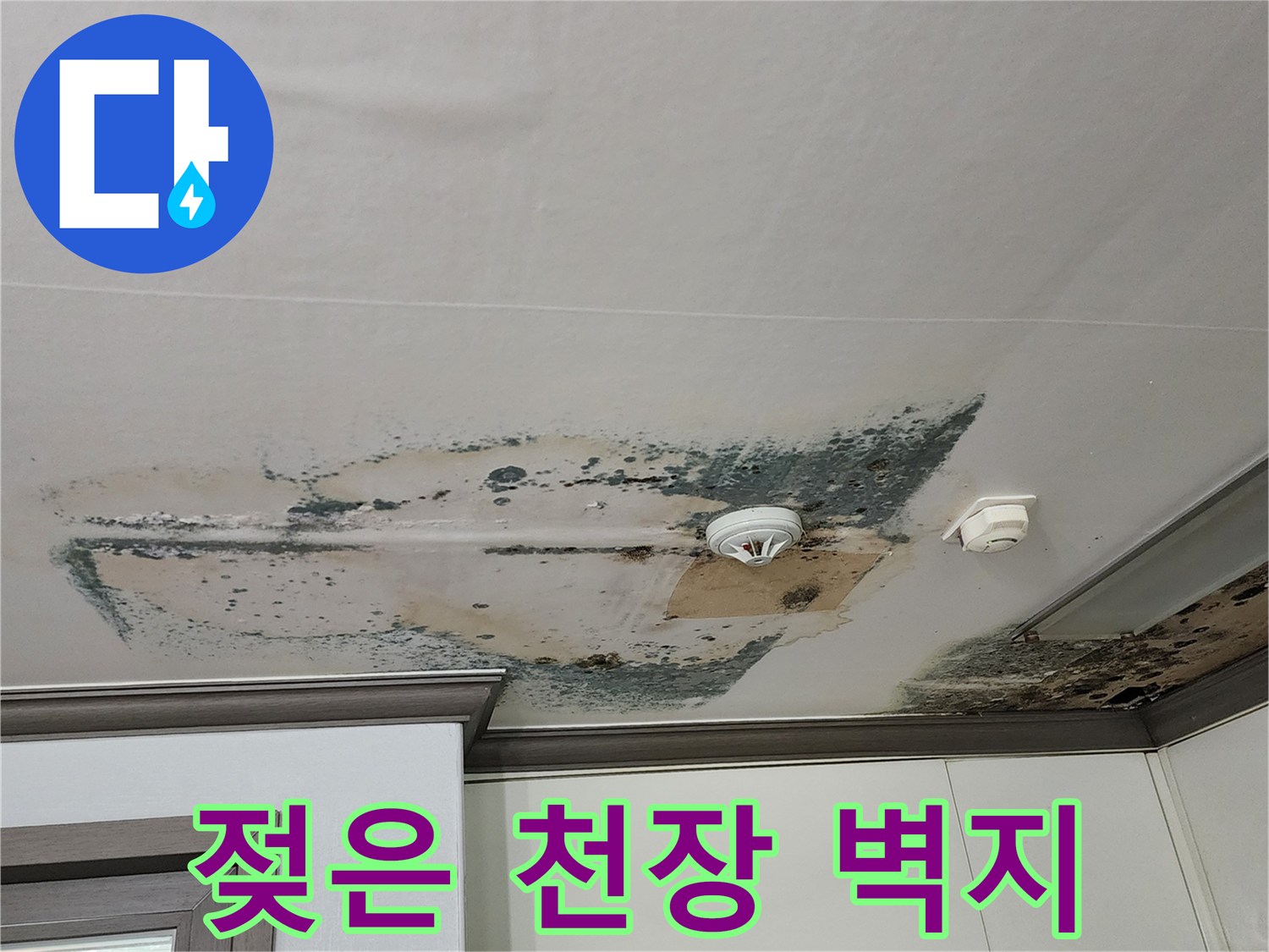 천장 벽지 하단-물기가 스며들어 변색되고 곰팡이가 생긴 천장 부위