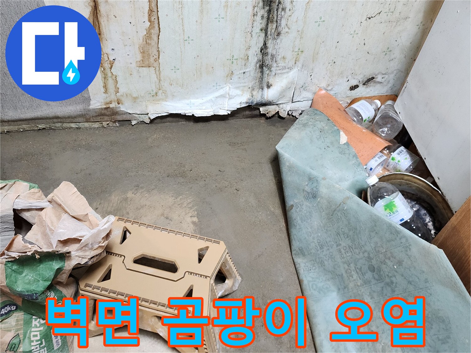 물샘-증상으로-발생한-벽면의-검은색-곰팡이
