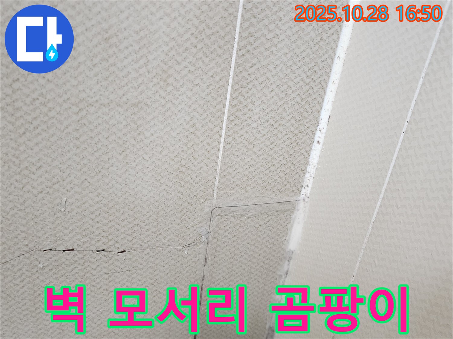 양주시 유양동 벽 - 벽 모서리에 곰팡이가 핀 사진입니다 - 누수 신호일 수 있습니다.