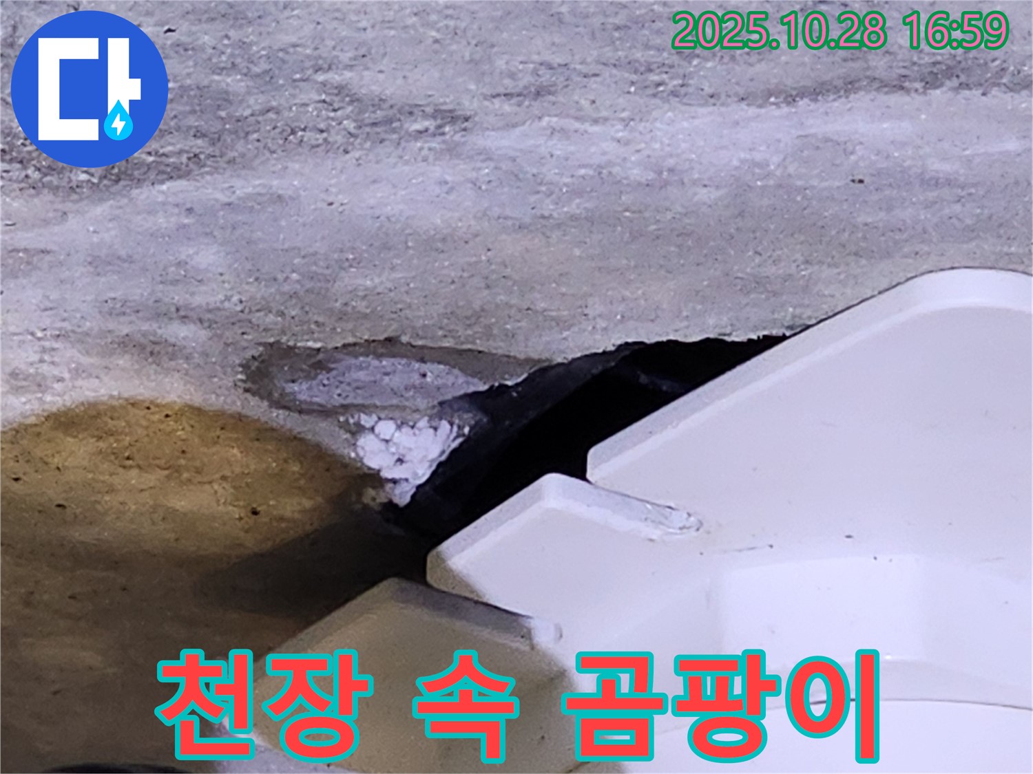 유양동 누수 - 천장 속 하얀 곰팡이, 누수 원인을 정확하게 파악하고 곰팡이까지 해결합니다.