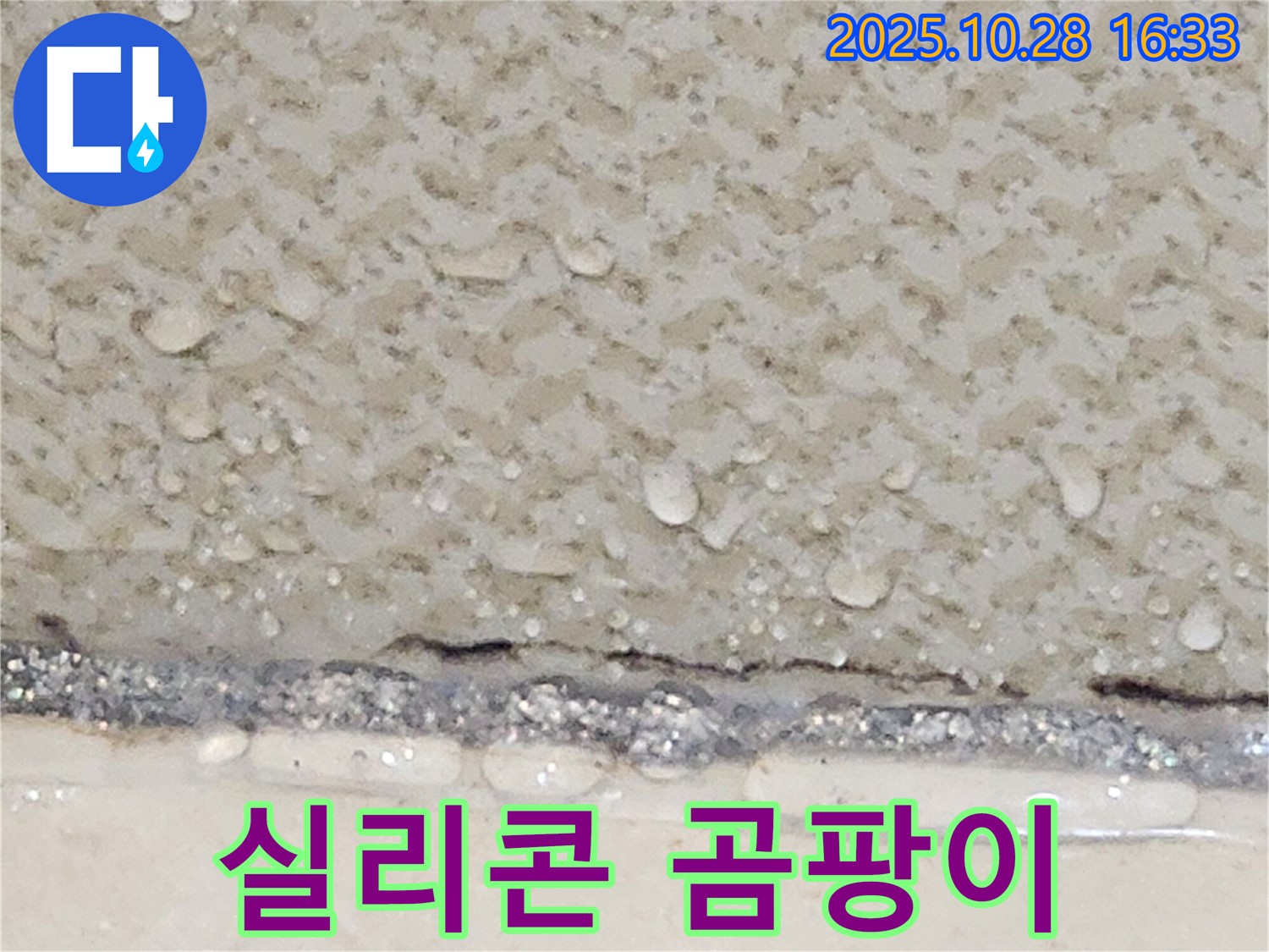 유양동 욕실 실리콘 곰팡이 - 교체 작업으로 깨끗하게 해결