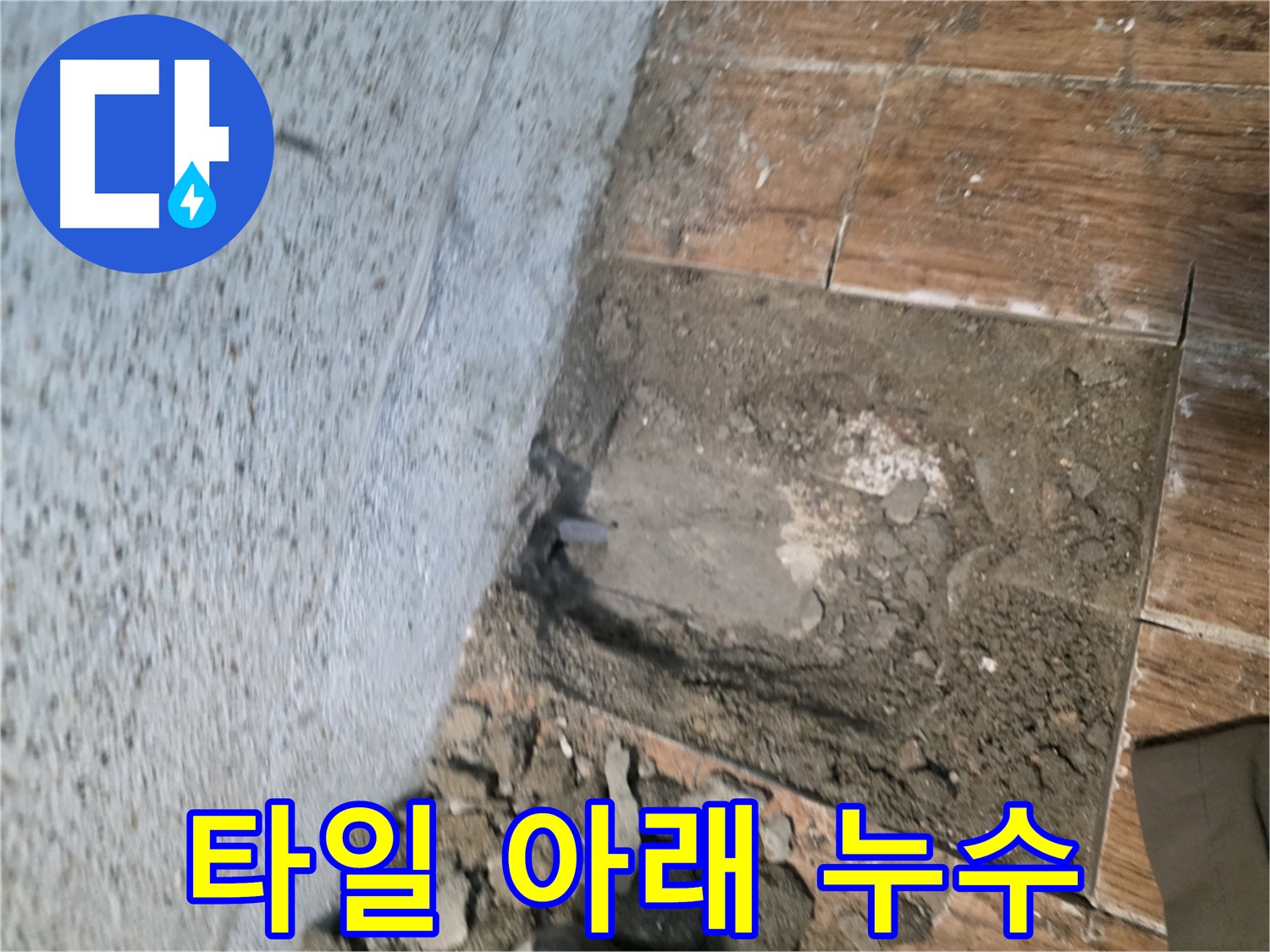 동두천 방죽로 누수 - 깨진 타일 아래 숨겨진 누수 지점