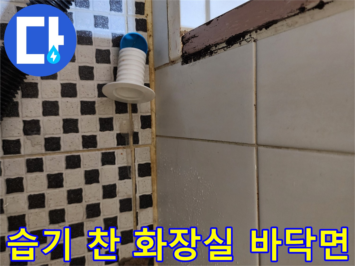 물기가 맺힌 타일과 배수 부속의 근접 촬영