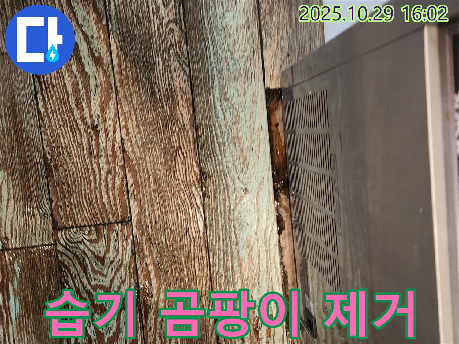 렌지후드 주변 습기 - 마루 곰팡이 제거 - 양주 마전동 누수 전문 업체가 렌지후드 주변 습기와 마루 곰팡이를 깨끗하게 제거하고 누수 원인을 해결했습니다.