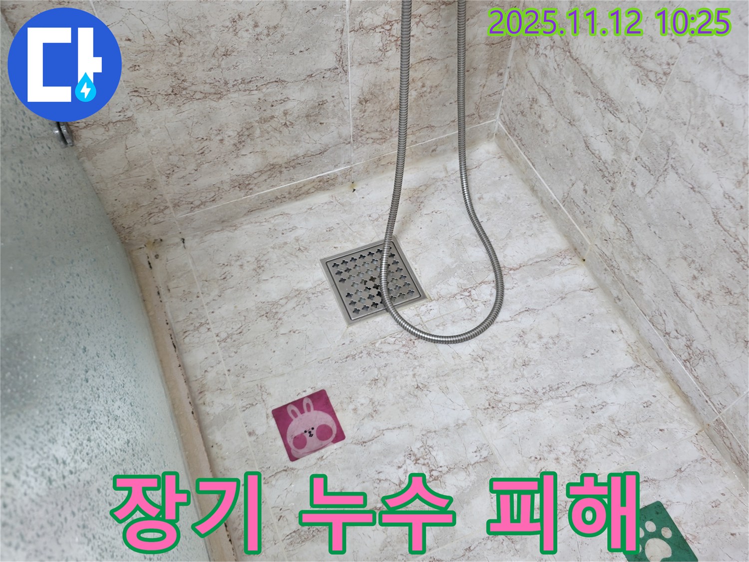 분당 건영아파트 욕실-장기적인 누수로 인한 곰팡이 발생 및 구조적 손상 위험 진단