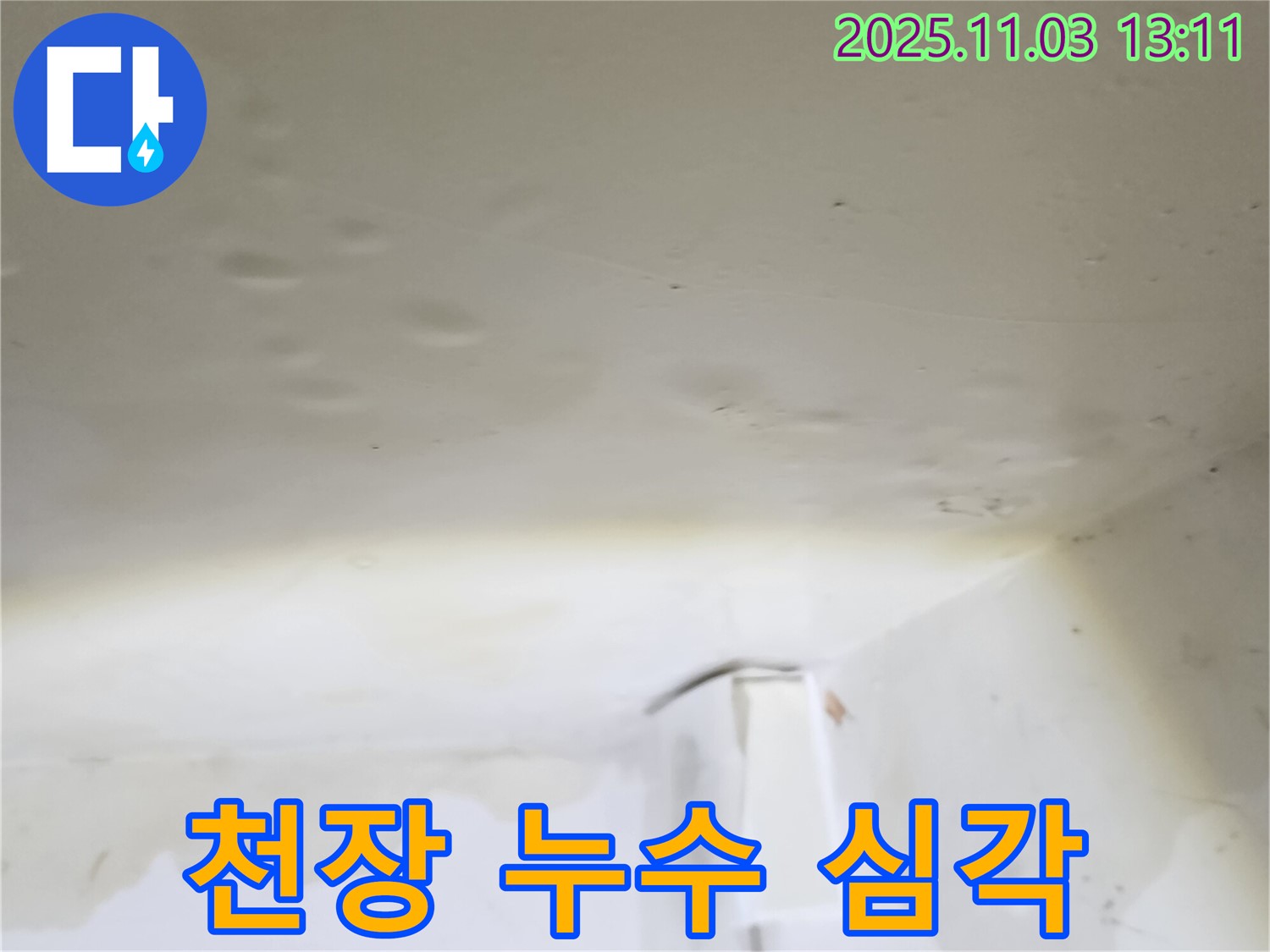 양주 옥정 천장 누수 심각 - 천장 누수가 매우 심각한 상황을 보여줍니다.