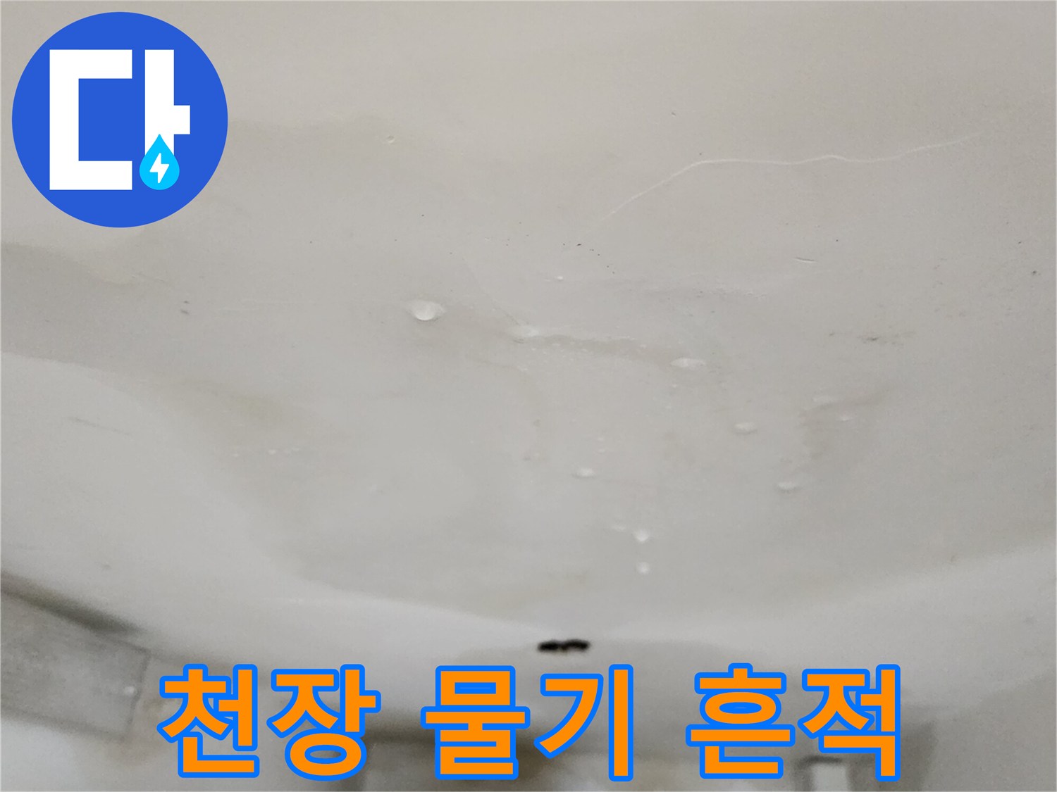 양주시 옥정동 현장 - 천장 벽지에 나타난 습기 흔적