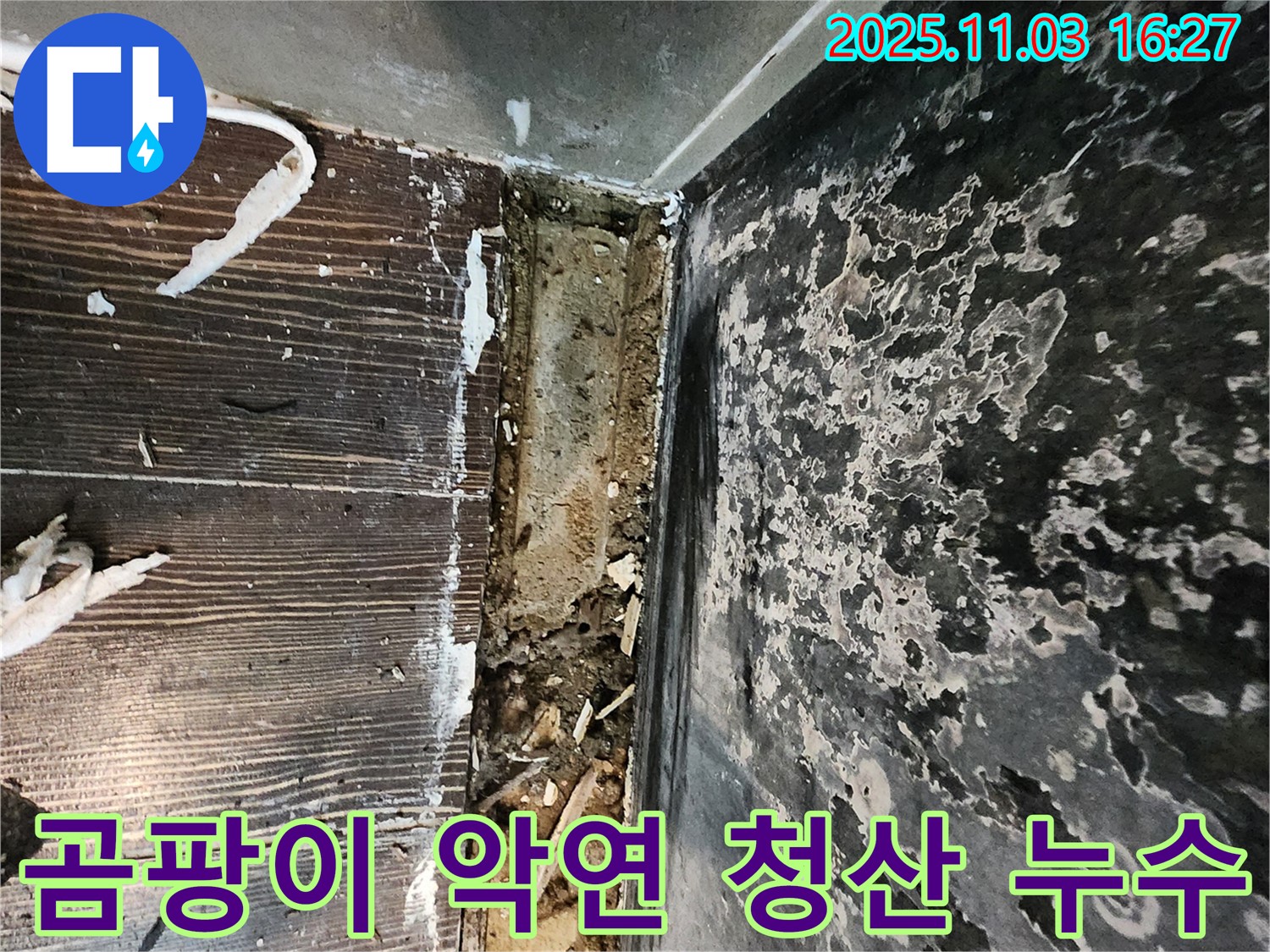 양주시 백석읍 누수 - 곰팡이와의 질긴 악연을 끊고, 누수와의 깔끔한 청산을 시작하세요!