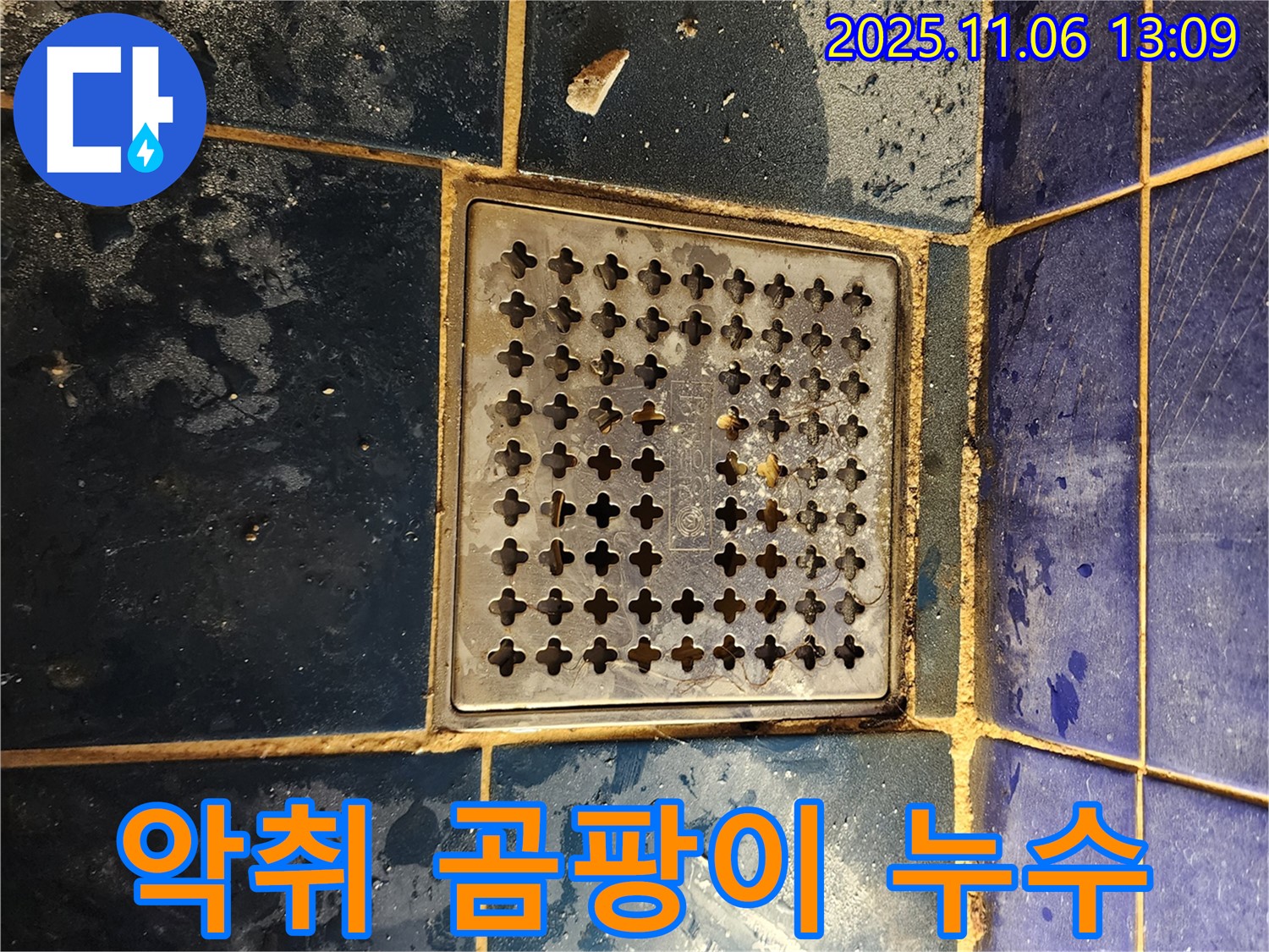 고모리 욕실 누수 - 배수구 주변 악취 및 곰팡이로 인한 누수