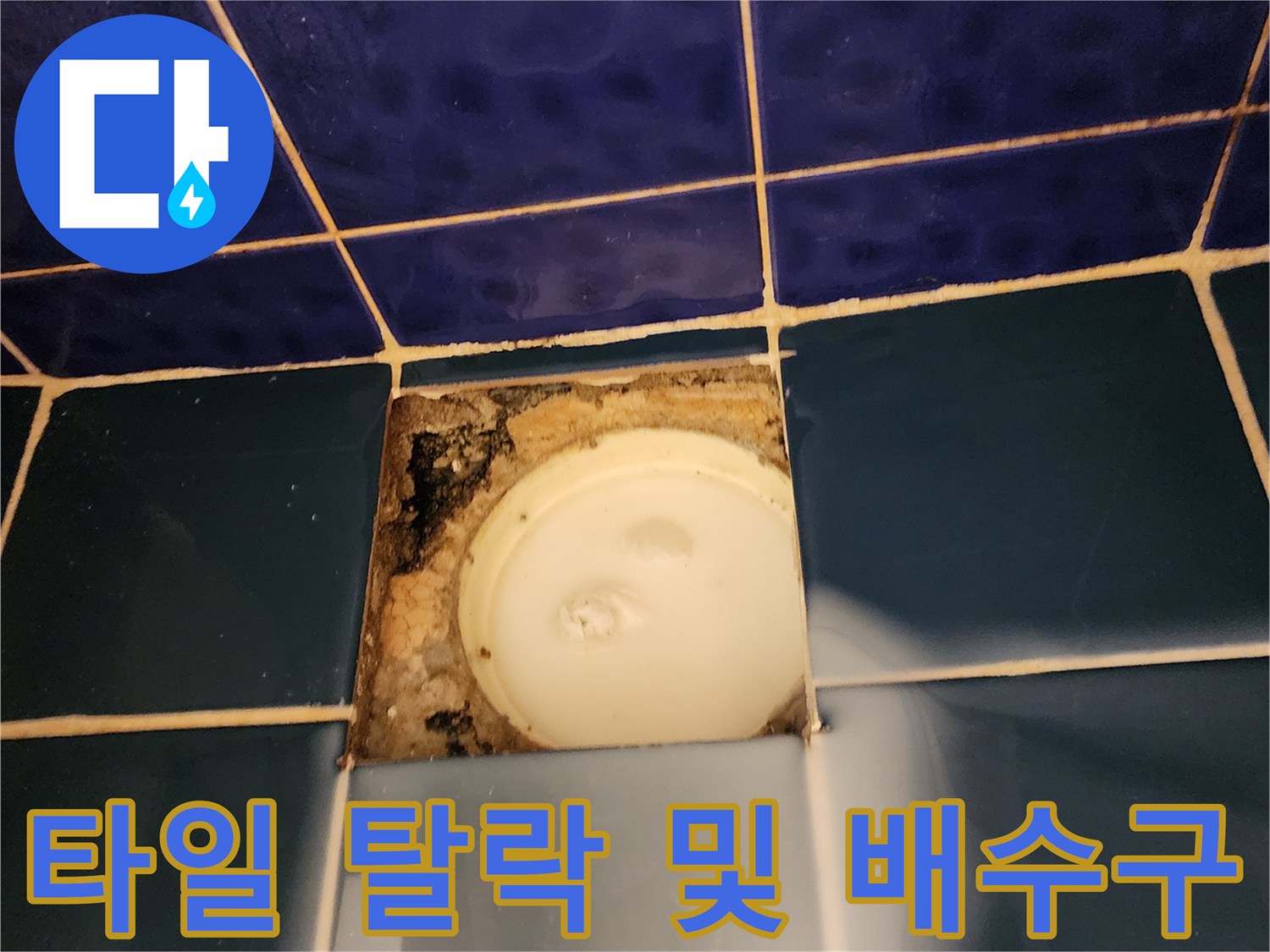 손상된 타일 사이로 - 드러난 하수구 배수 트랩과 주변부