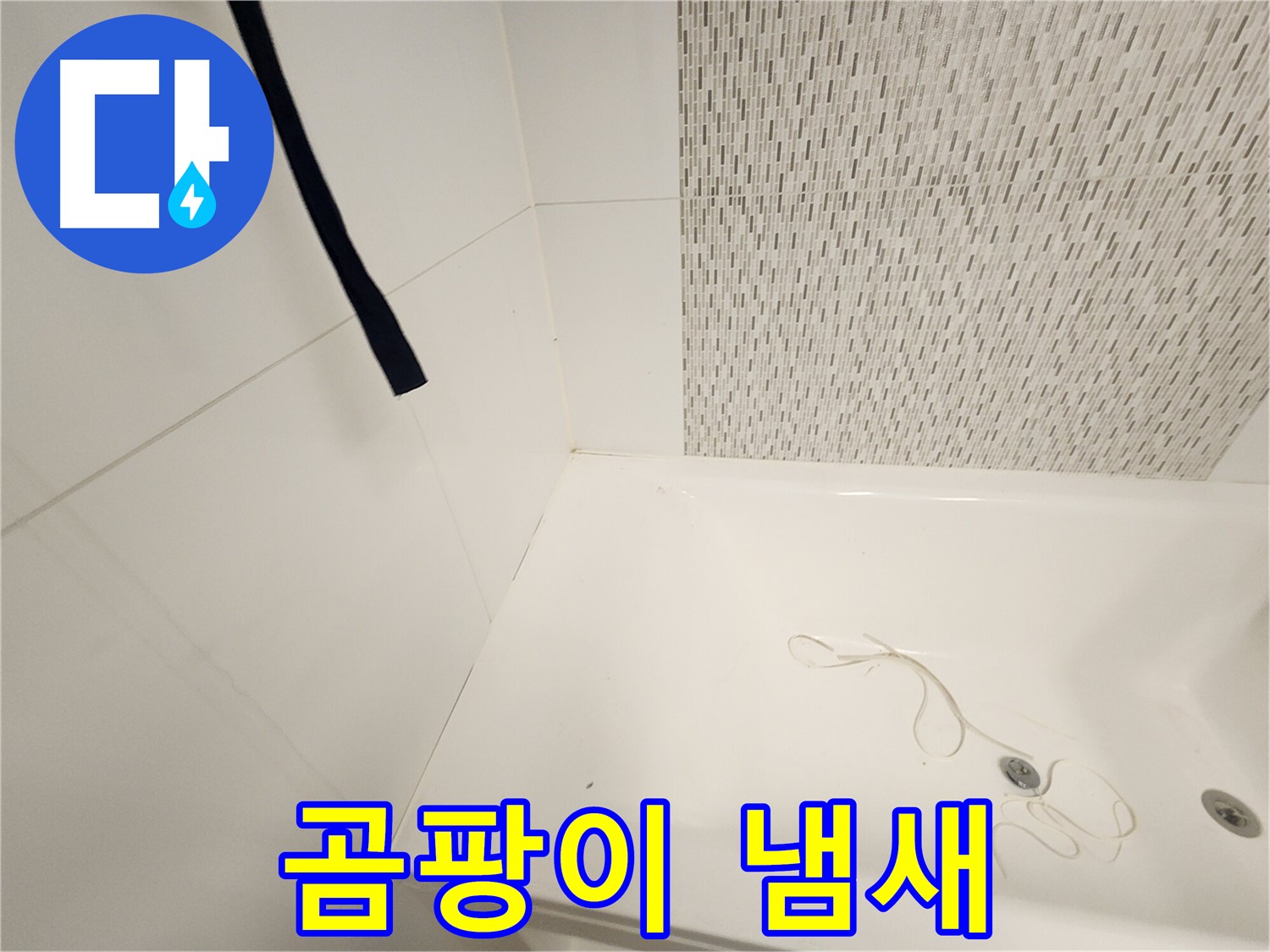 욕조 하부 - 곰팡이 냄새 - 습기 누적 심각