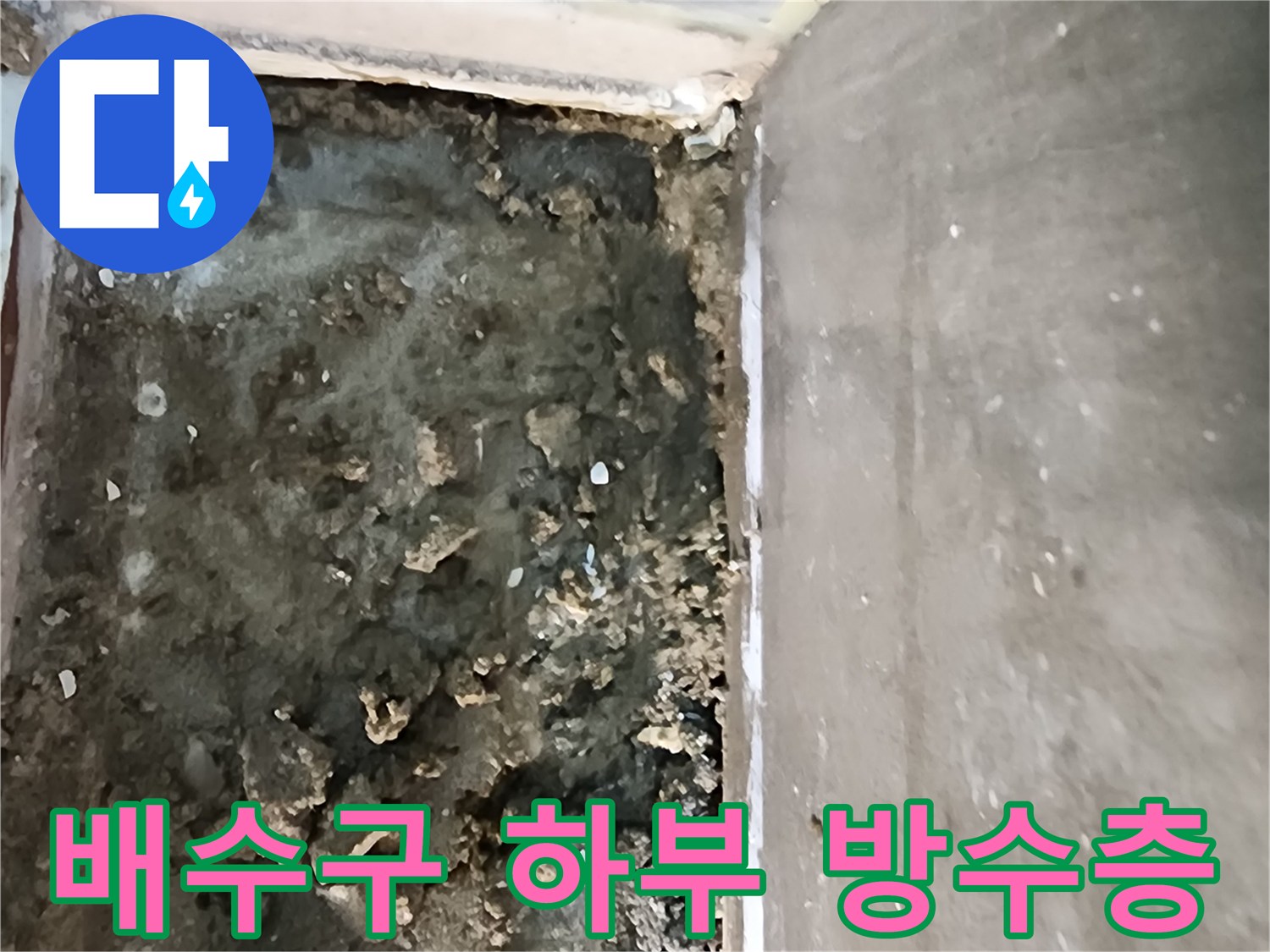 의정부-신곡동-샤워실-배수구-내부-방수층-파손