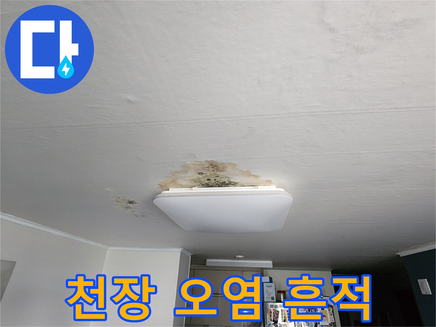 주방 천장 조명 주변의 황색 변색과 곰팡이 자국 촬영
