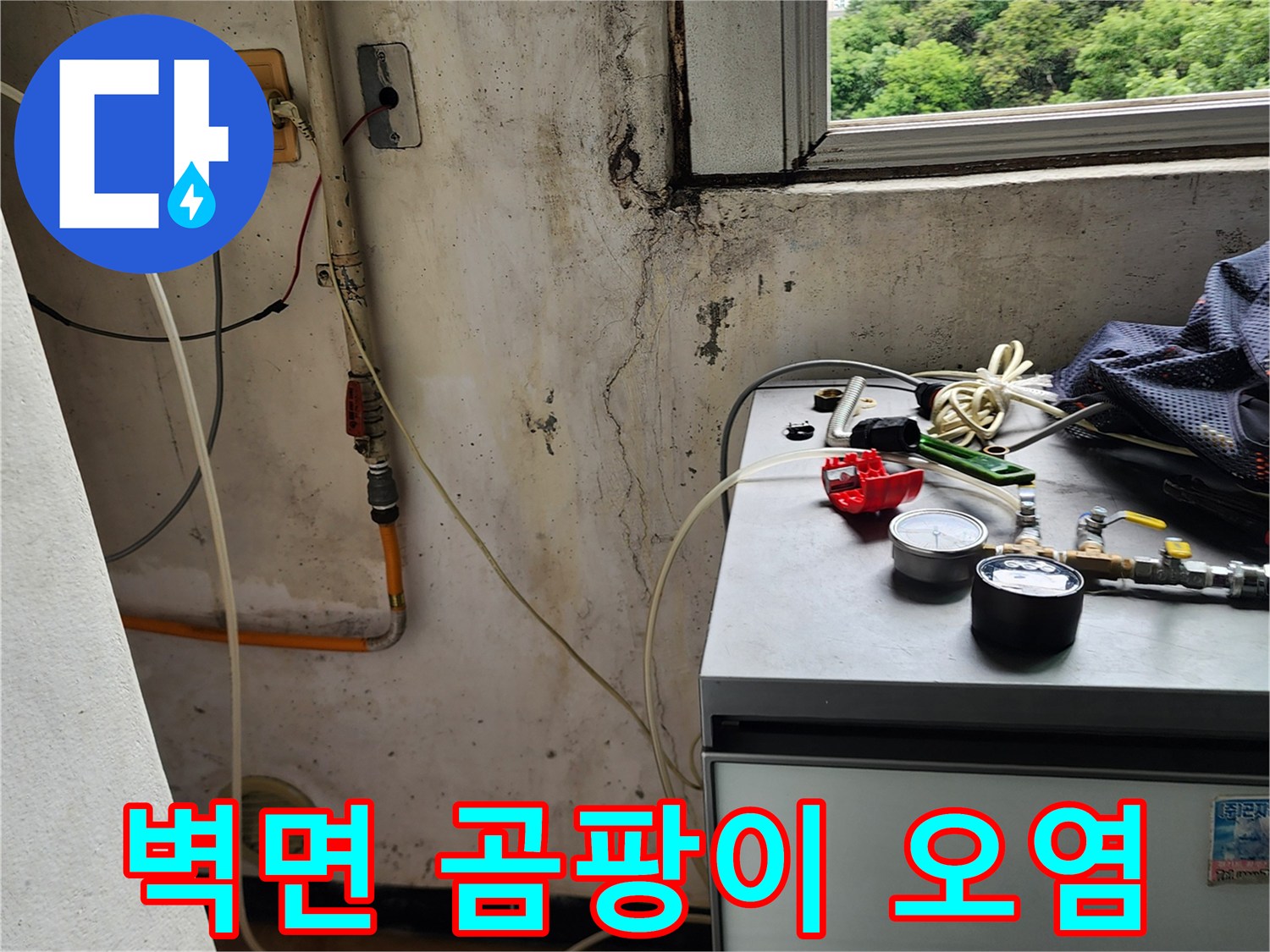 창가 하단 벽면에 발생한 누수 흔적과 곰팡이 현상
