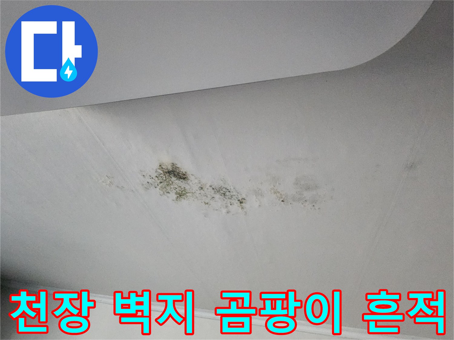 천장 면에 나타난 짙은 곰팡이와 변색된 얼룩