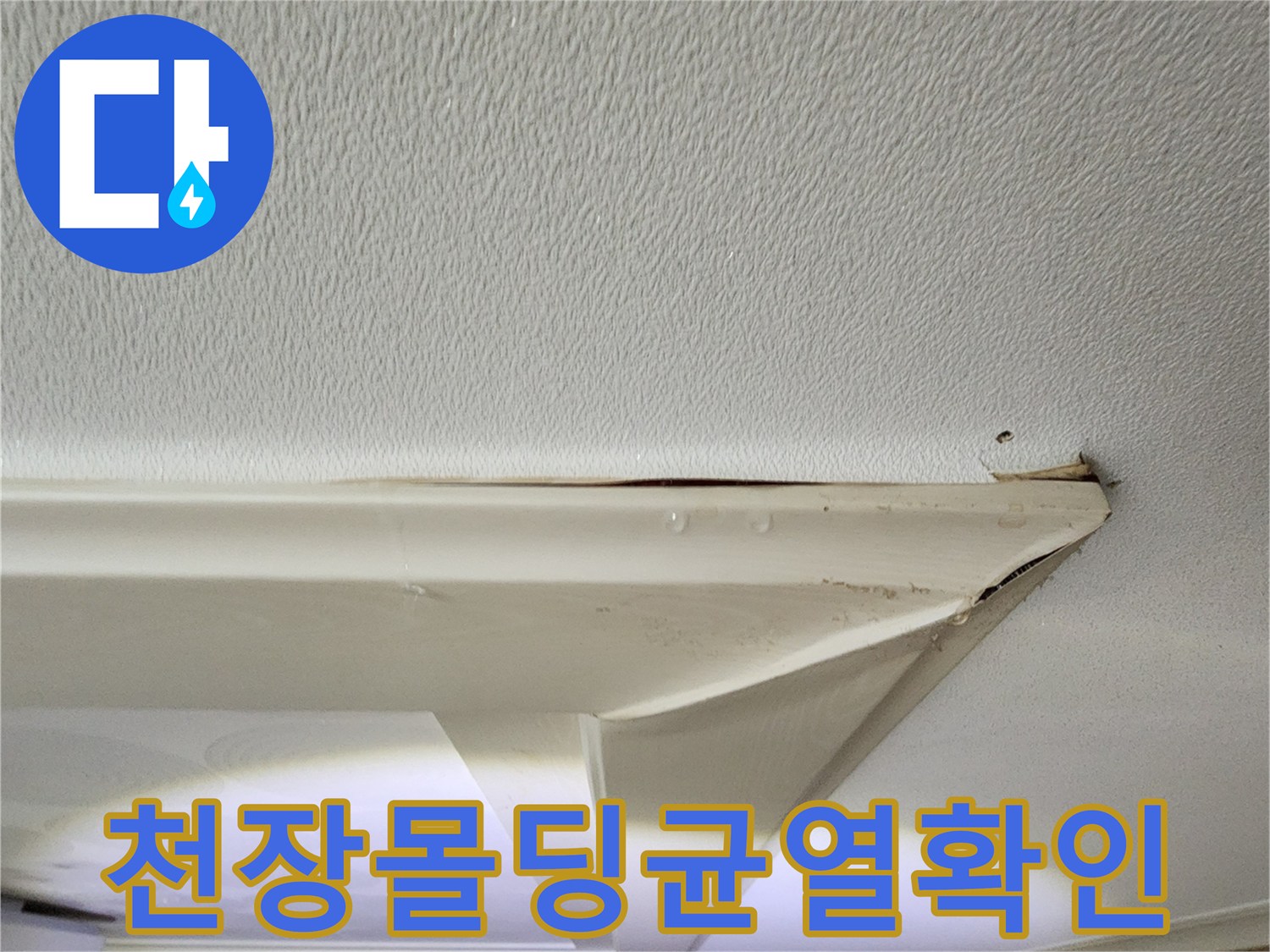 거실-천장-몰딩-사이로-물기가-배어나온-현장-사진