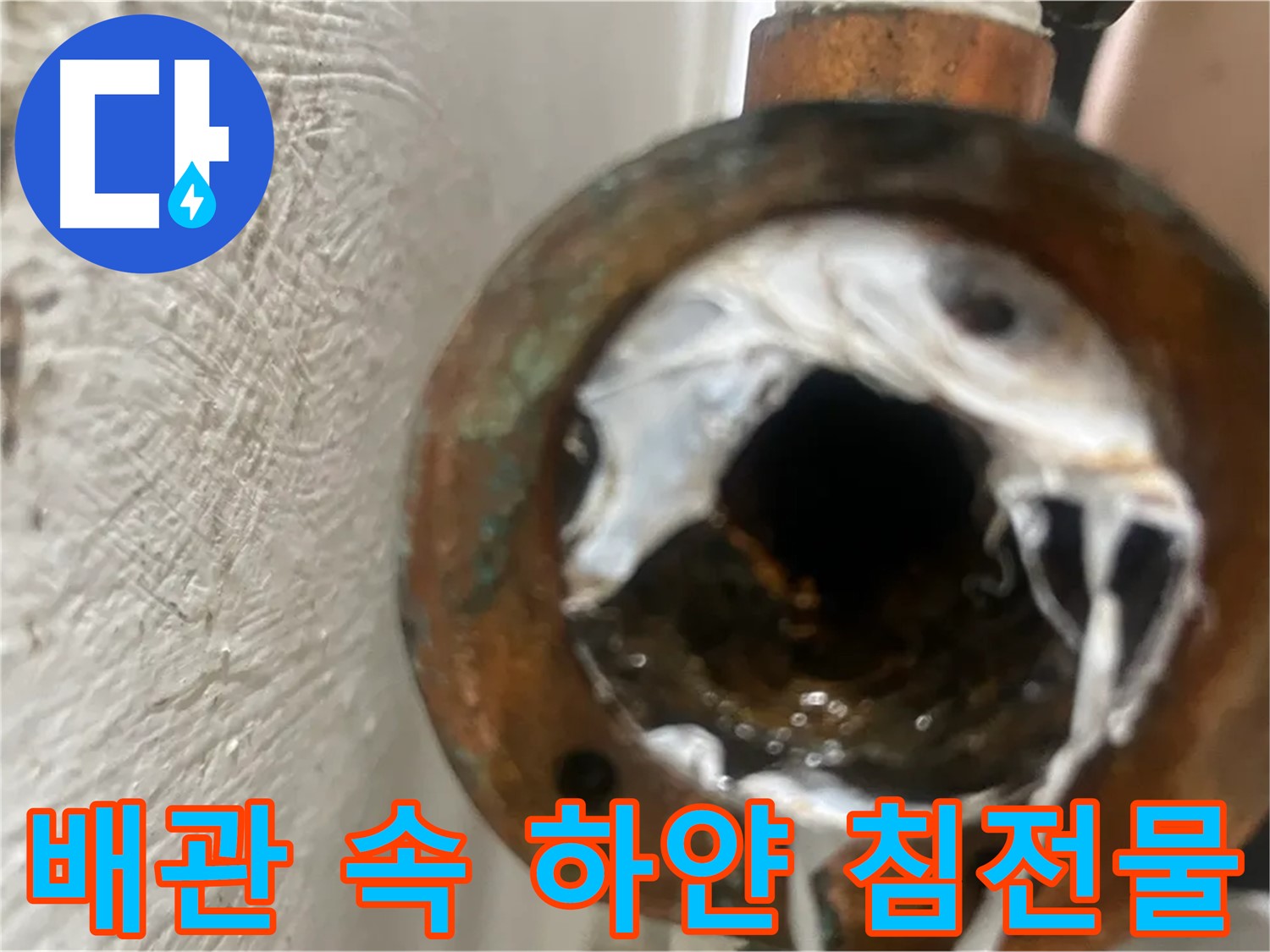 신월동 누수 해결 - 배관 속 하얀 침전물 완벽 차단