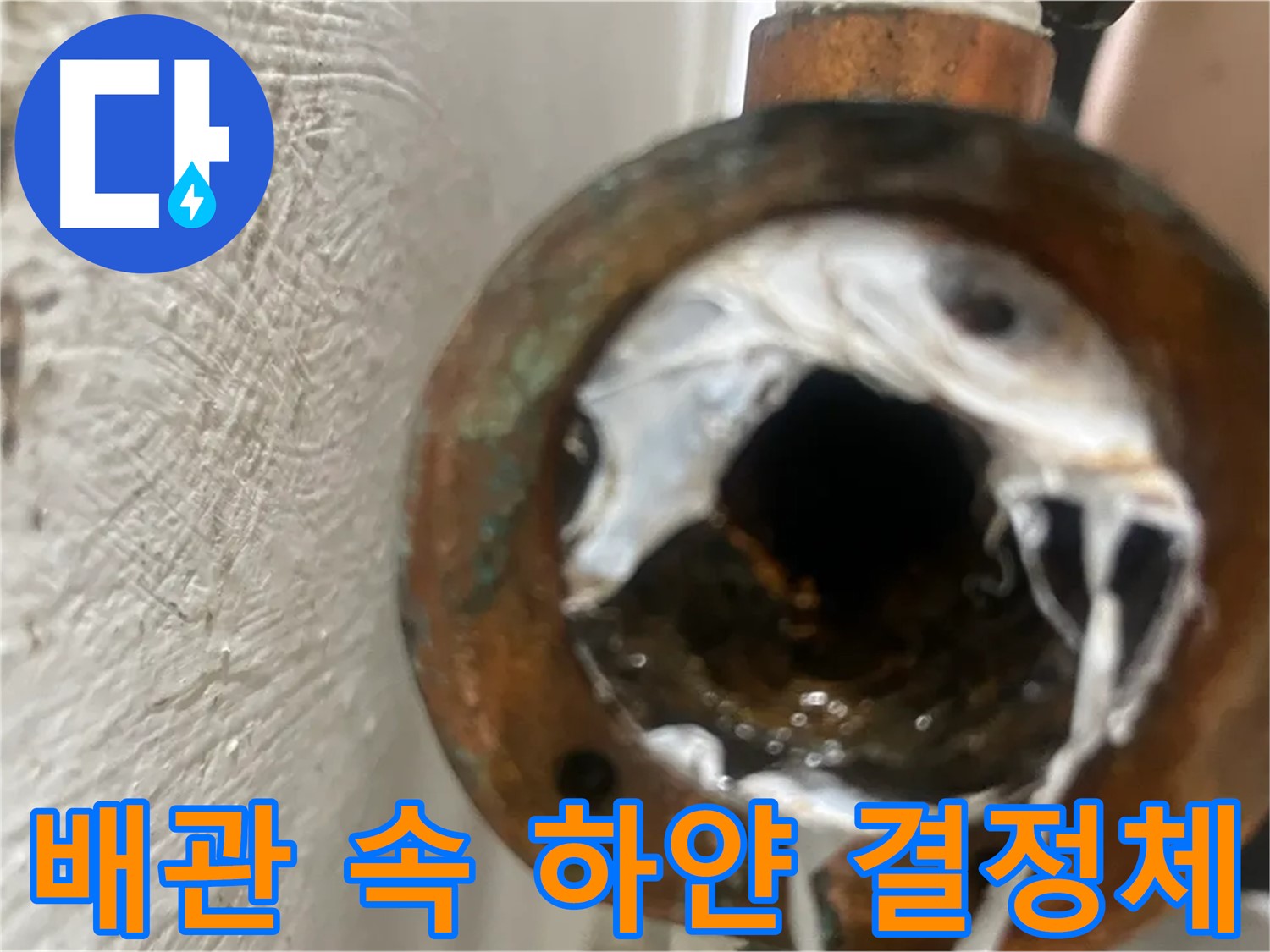 양천구 신월동 누수 - 배관 속 하얀 결정체 원인 파악