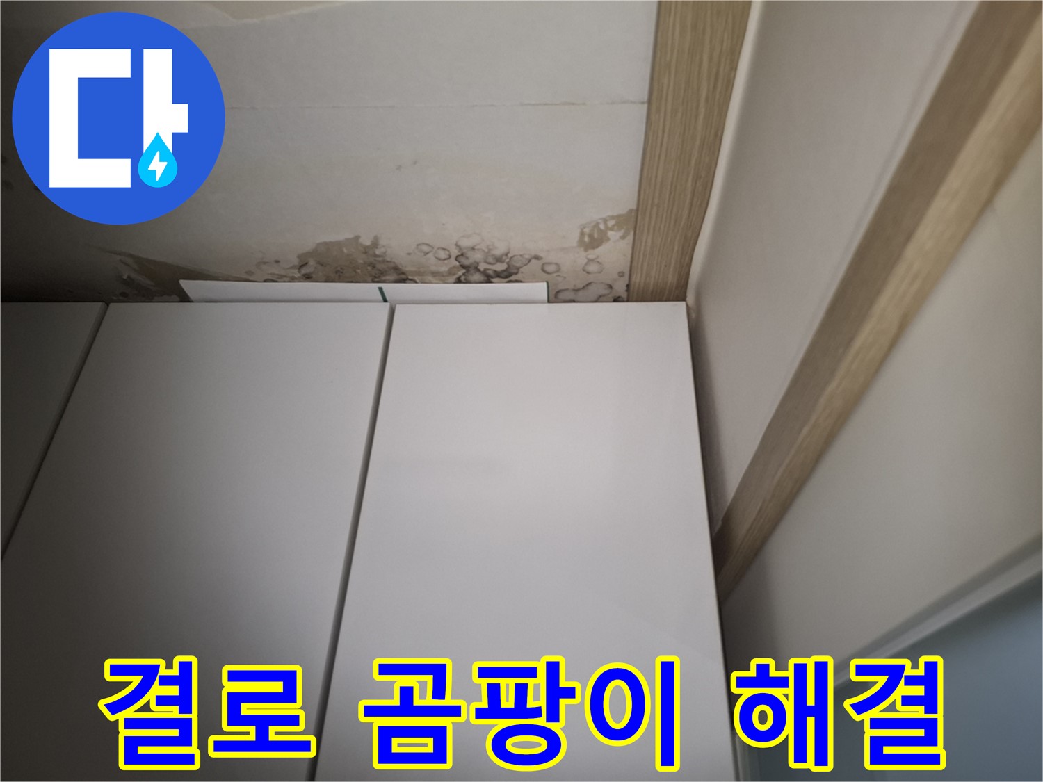 겨울철 결로로 인한 곰팡이 발생 문제 해결 - 쾌적한 환경을 만들어 드립니다.