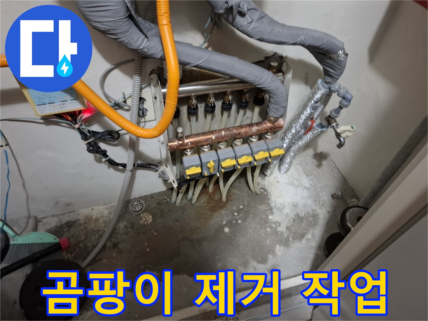 분배기 습기 - 곰팡이 제거로 깨끗하게!
