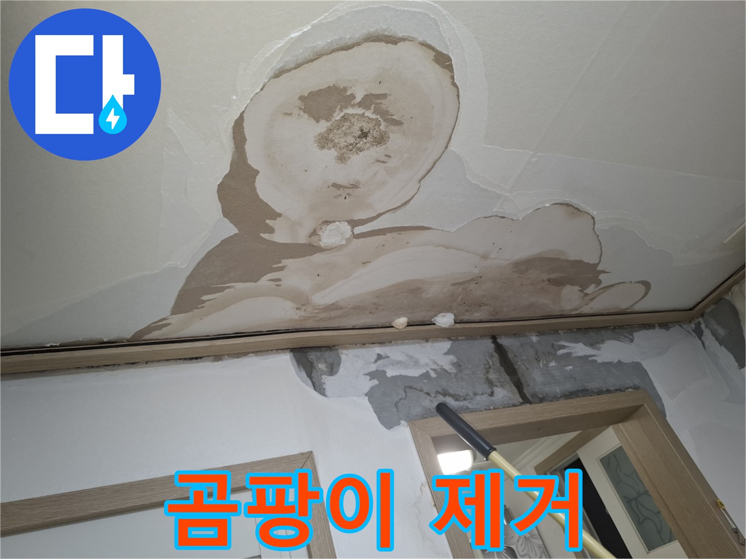 석고보드 속 곰팡이 - 건강 위협, 철저하게 제거!