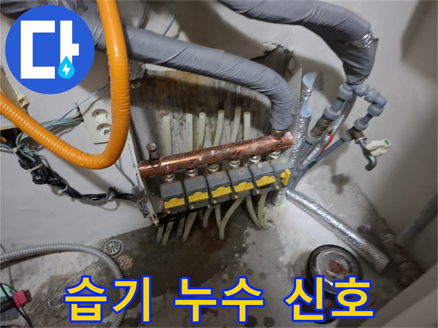 신림동 누수 현장 - 분배기 주변의 습기가 누수 신호일 가능성을 염두에 두고 정밀 점검을 실시합니다.