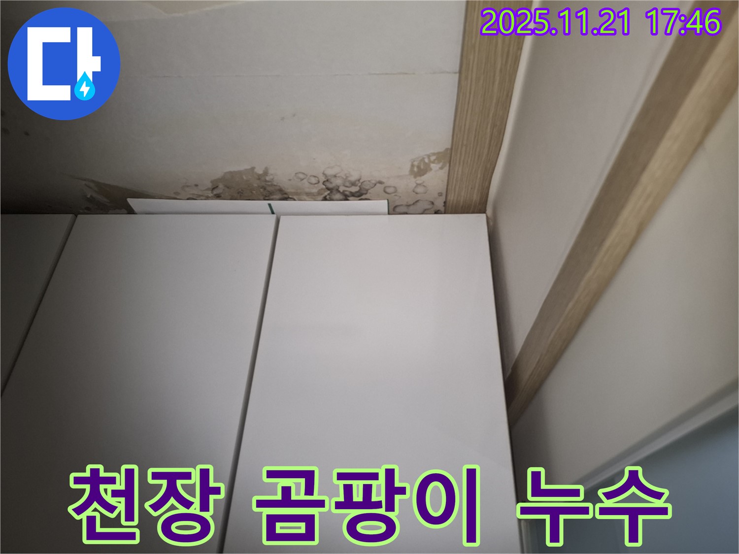 신림에서 발생한 천장 곰팡이 누수 - 완벽 차단 솔루션 제공