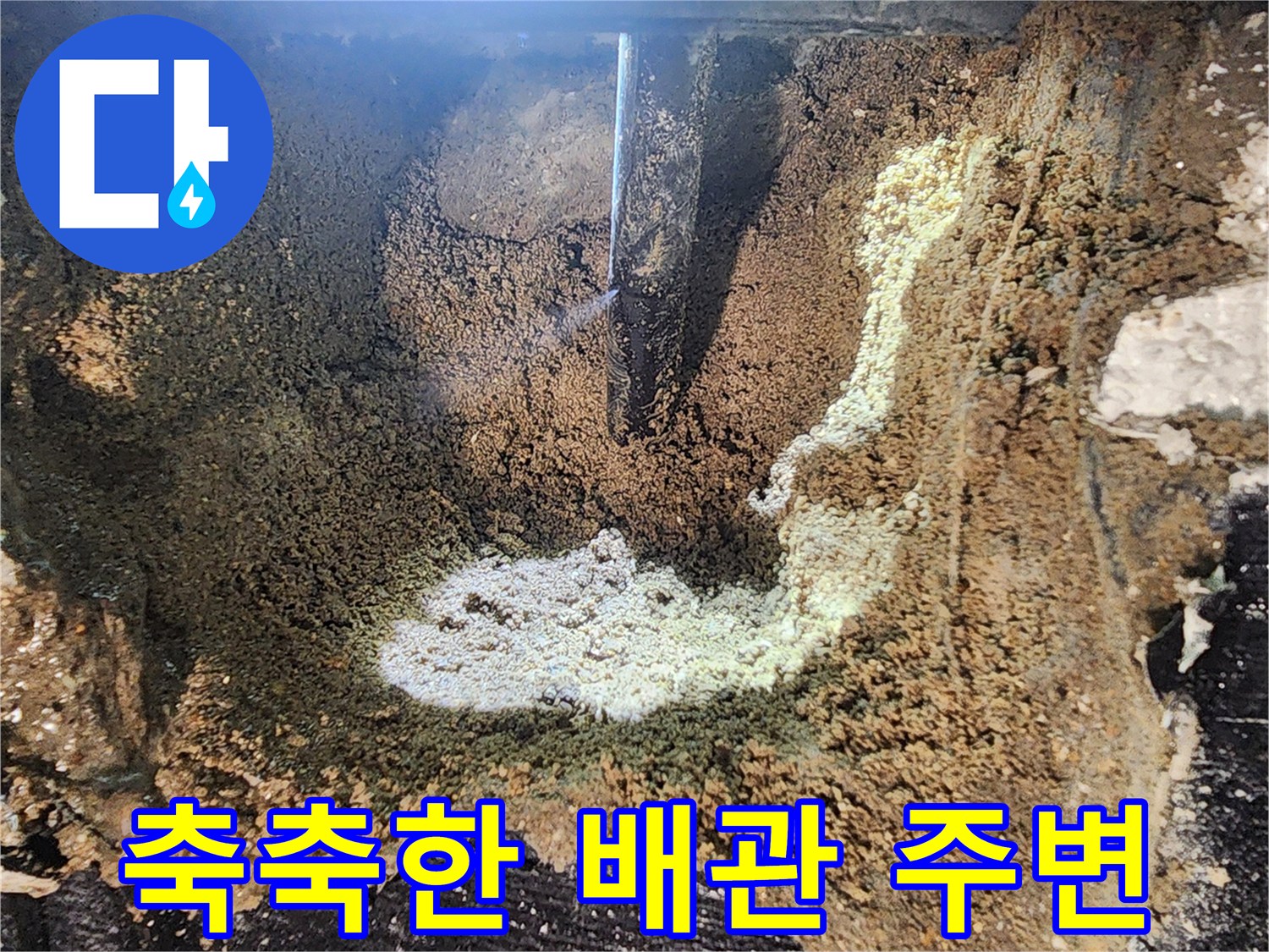 의정부 흥선동-물샘으로 인해 젖어있는 배관 근처 토양층